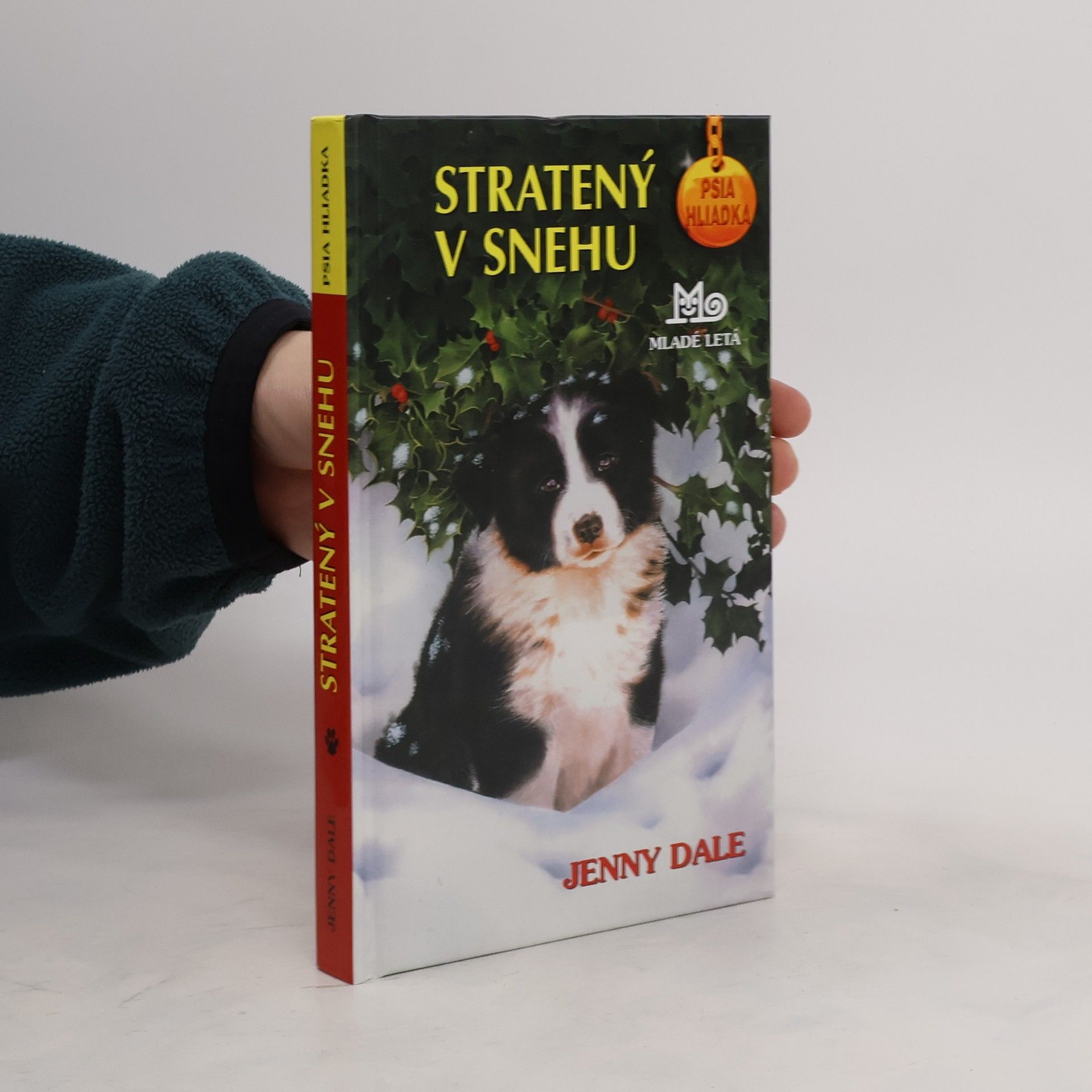 Linda Chapman Stratený v snehu