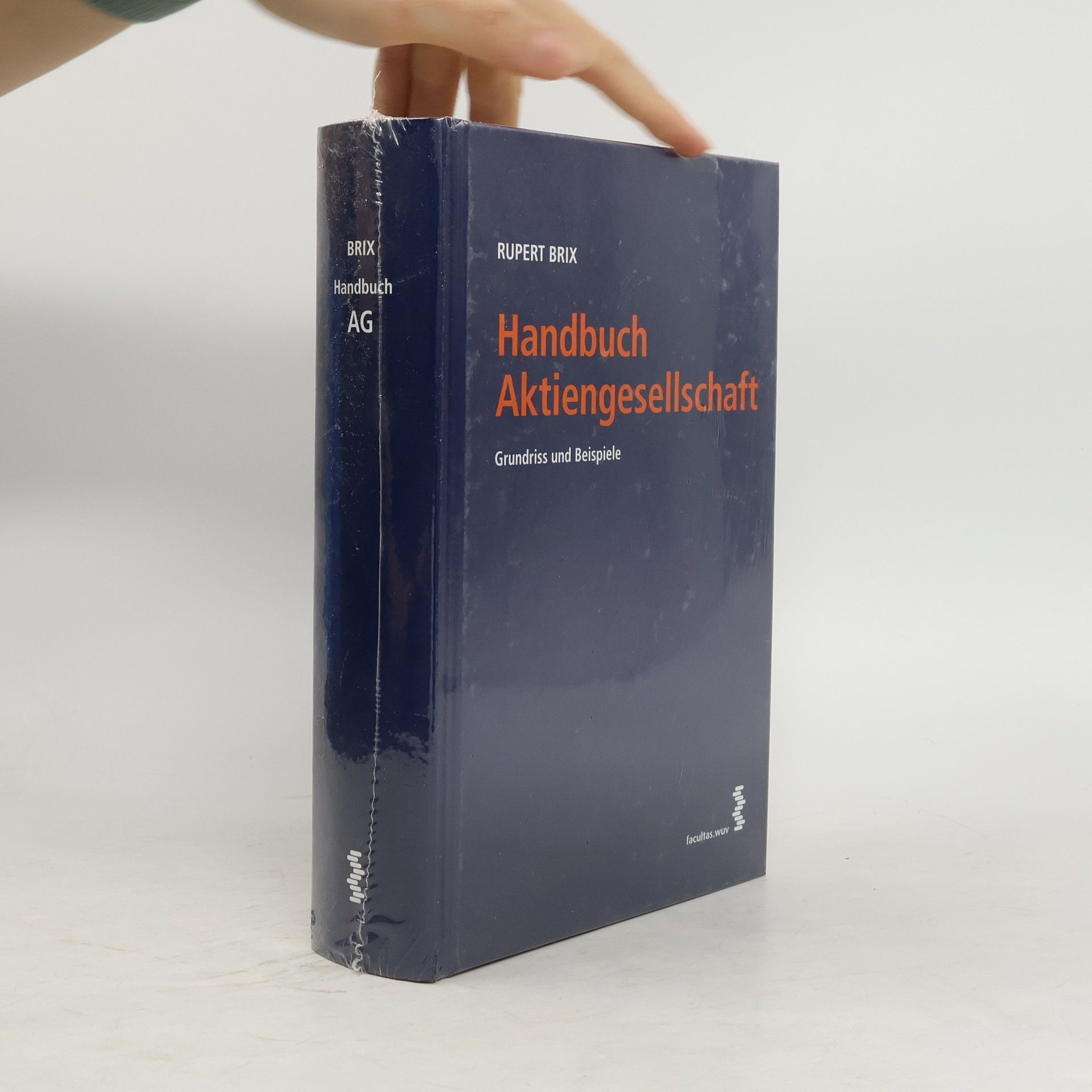 Rupert Brix Handbuch Aktiengesellschaft