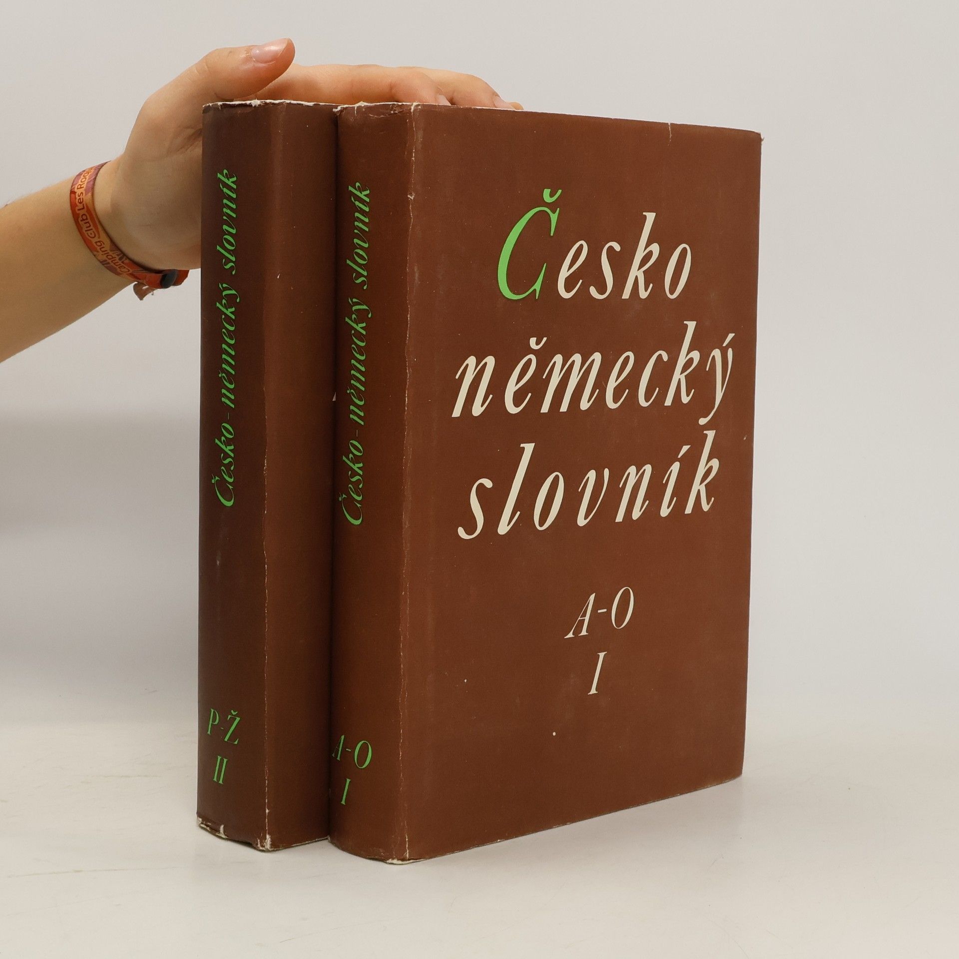 Autorenkollektiv Česko-německý slovník I-II