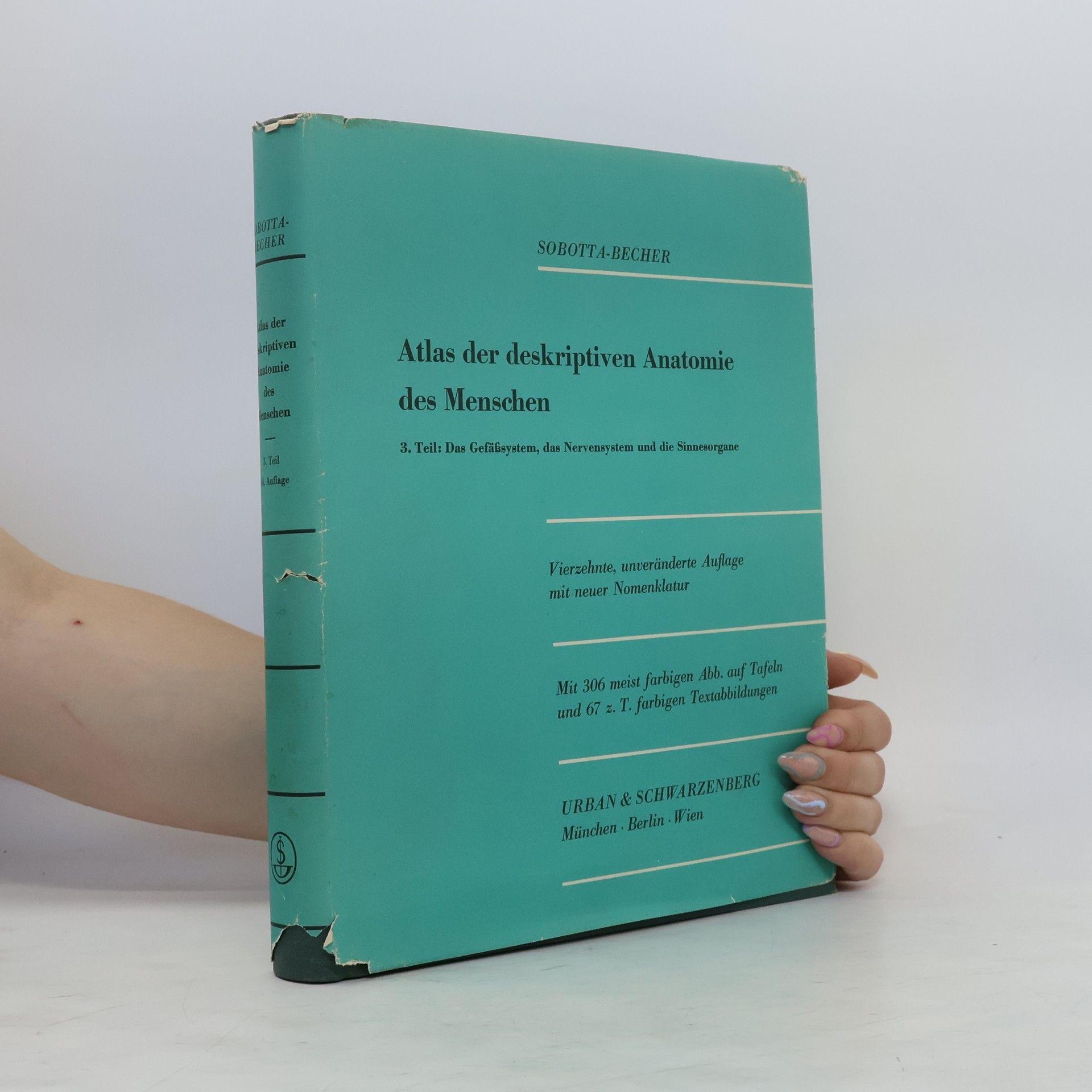 J. Sobotta Atlas der deskriptiven Anatomie des Menschen 3. Teil