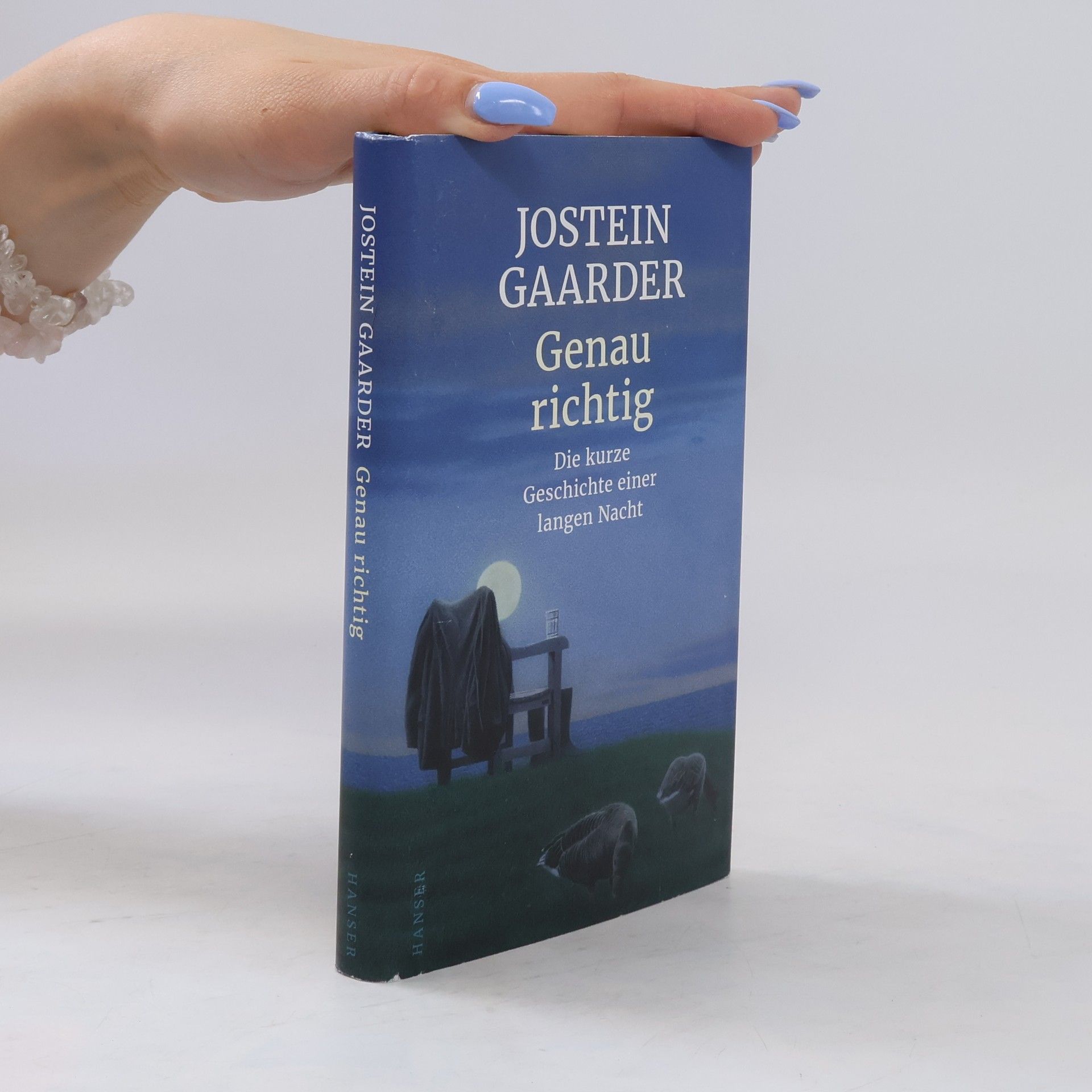 Jostein Gaarder Genau richtig
