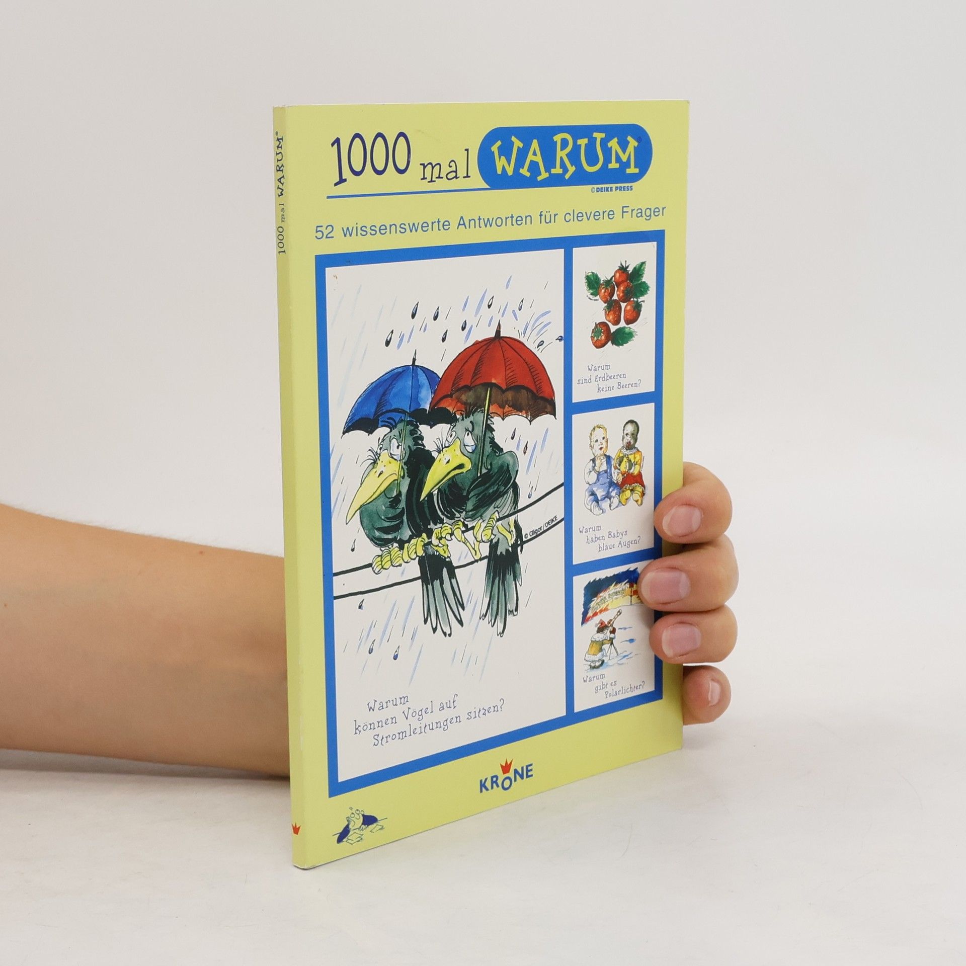 kolektiv 1000 mal Warum