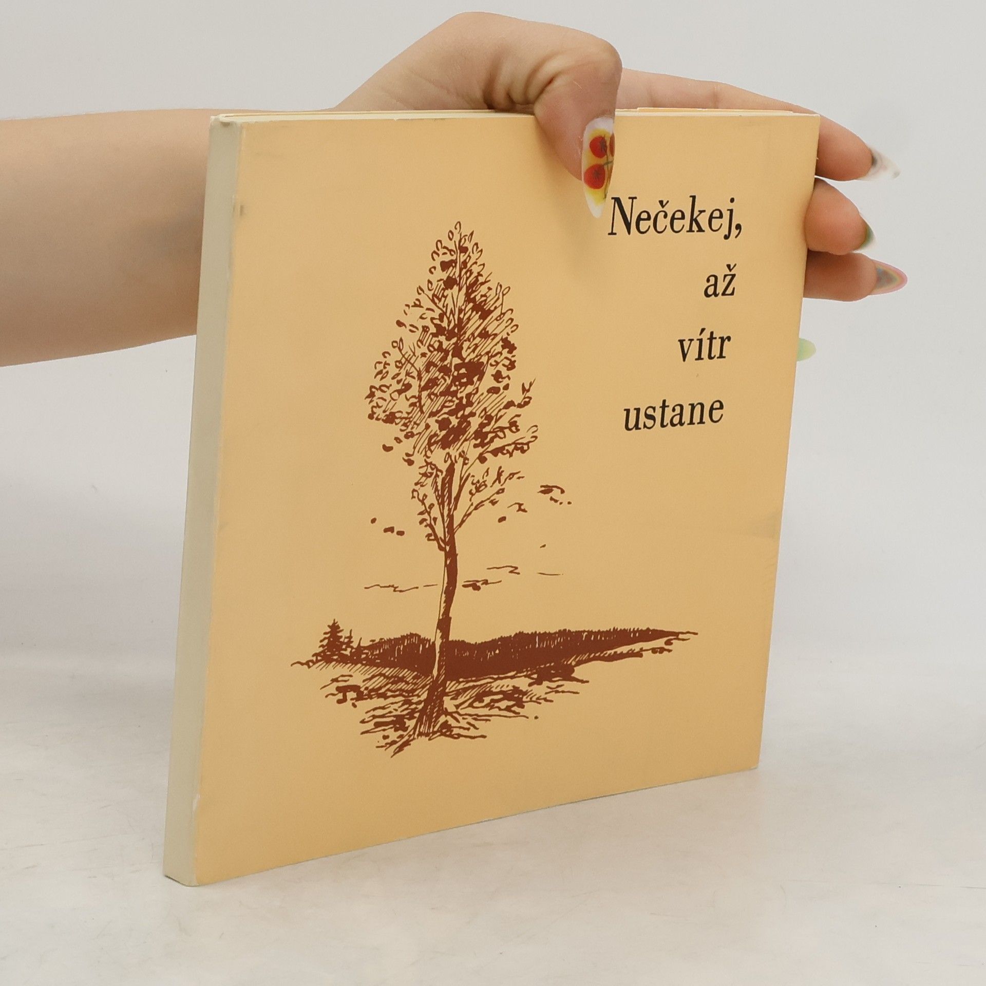 Kolektiv autorů Nečekej, až vítr ustane