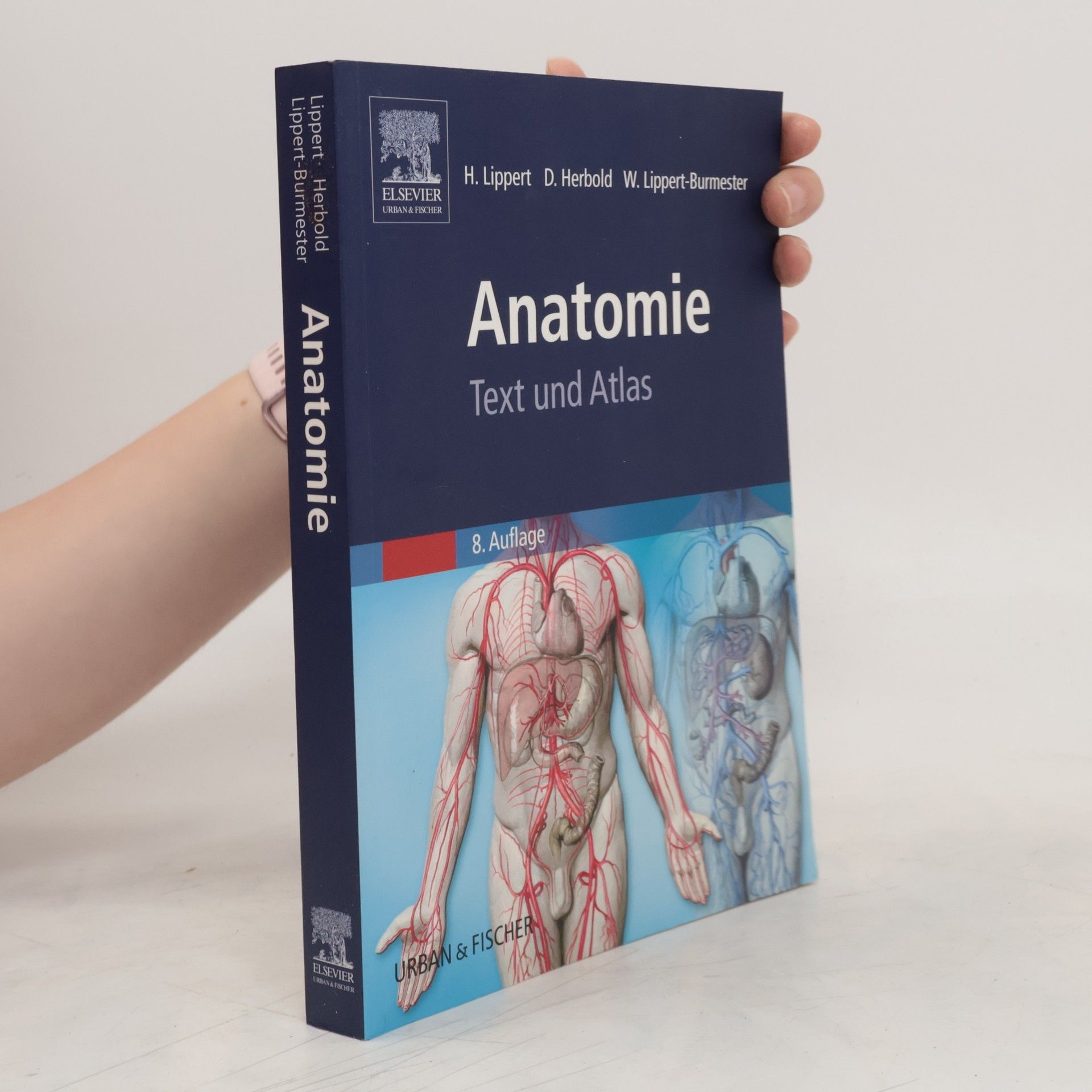 Herbert Lippert Anatomie