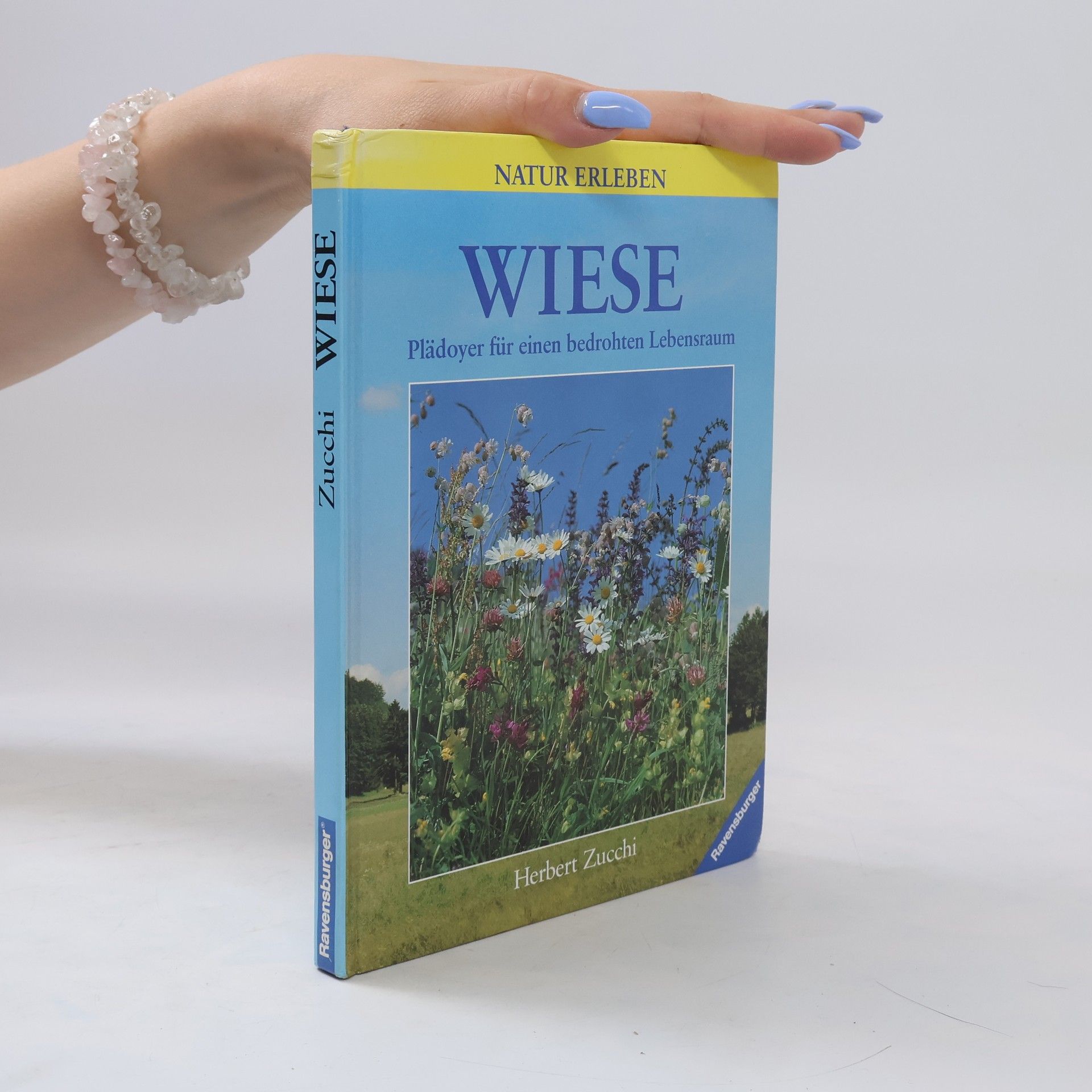 Herbert Zucchi Wiese