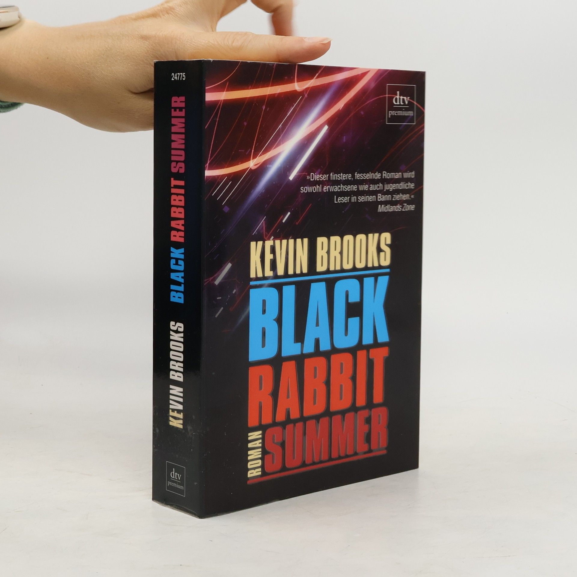 Kevin Brooks Black rabbit summer