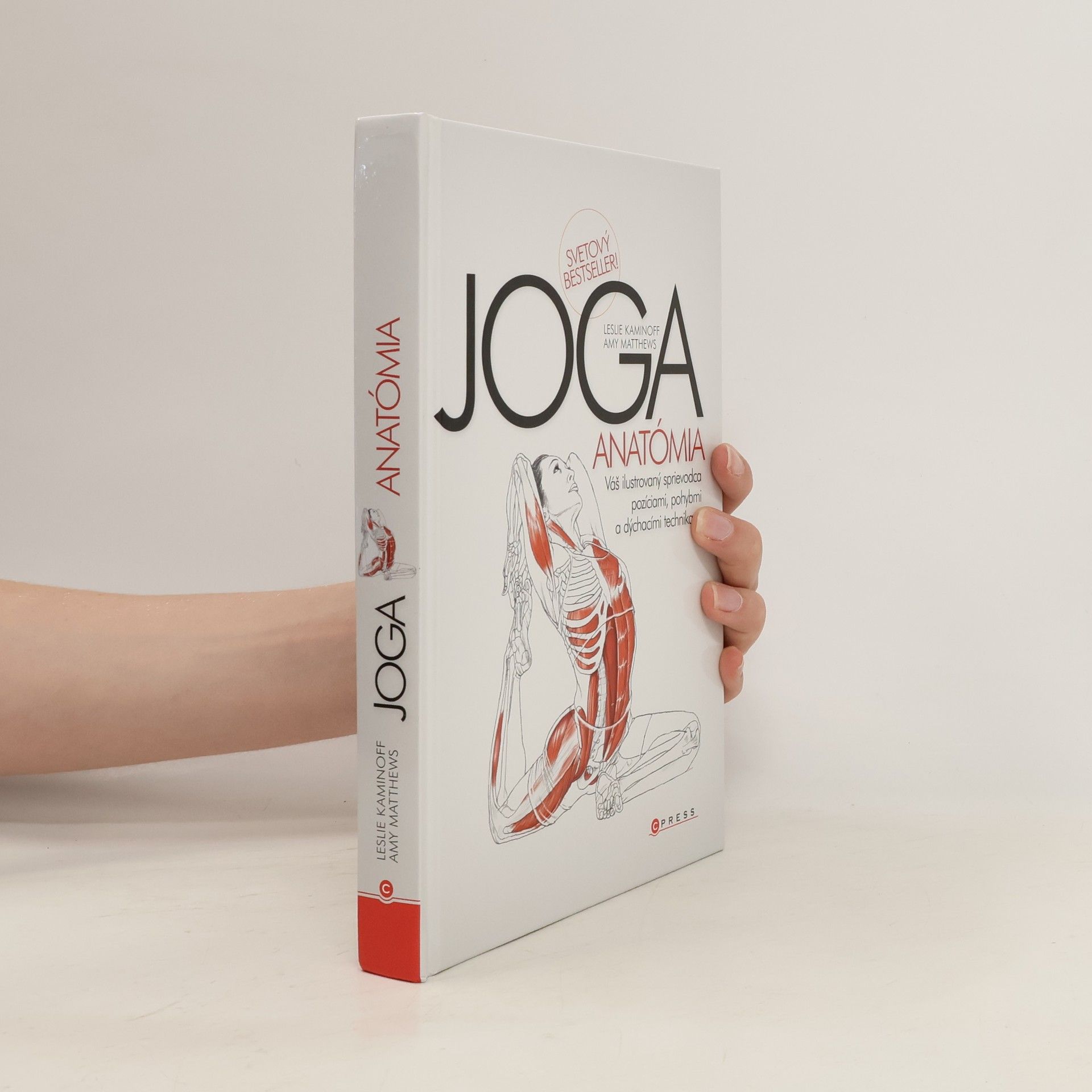 kolektiv Joga. Anatómia