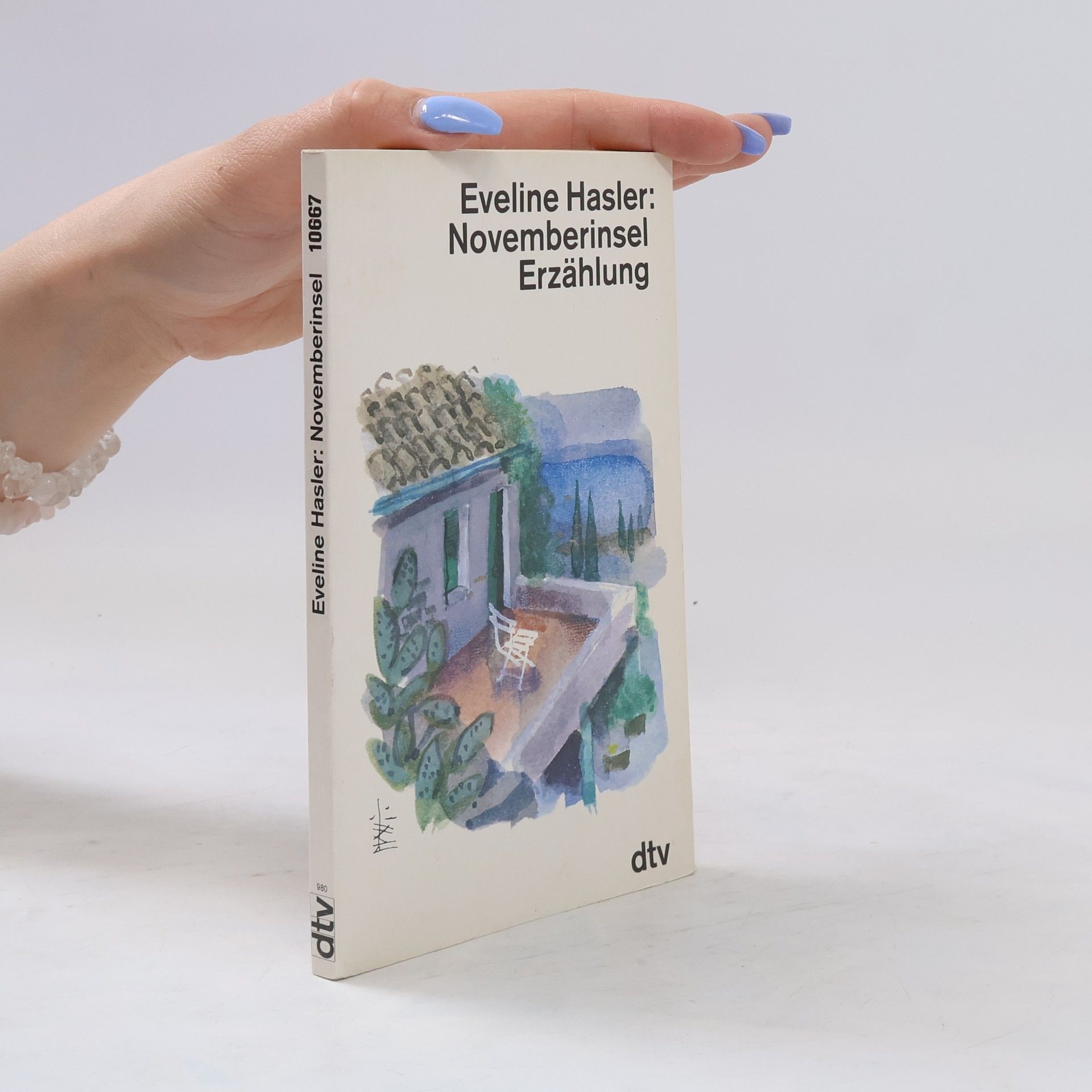 Eveline Hasler Novemberinsel. Erzählung
