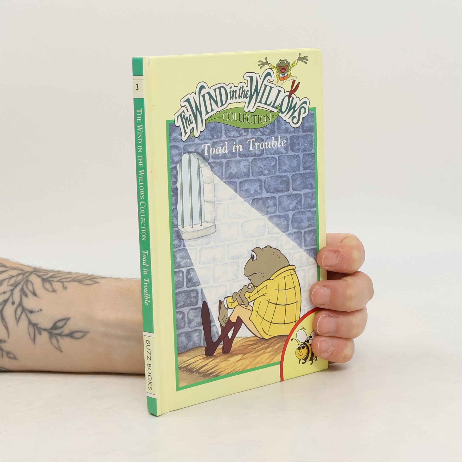 Katie Vandyck The Wind in the Willows Collection 3. Toad in Trouble