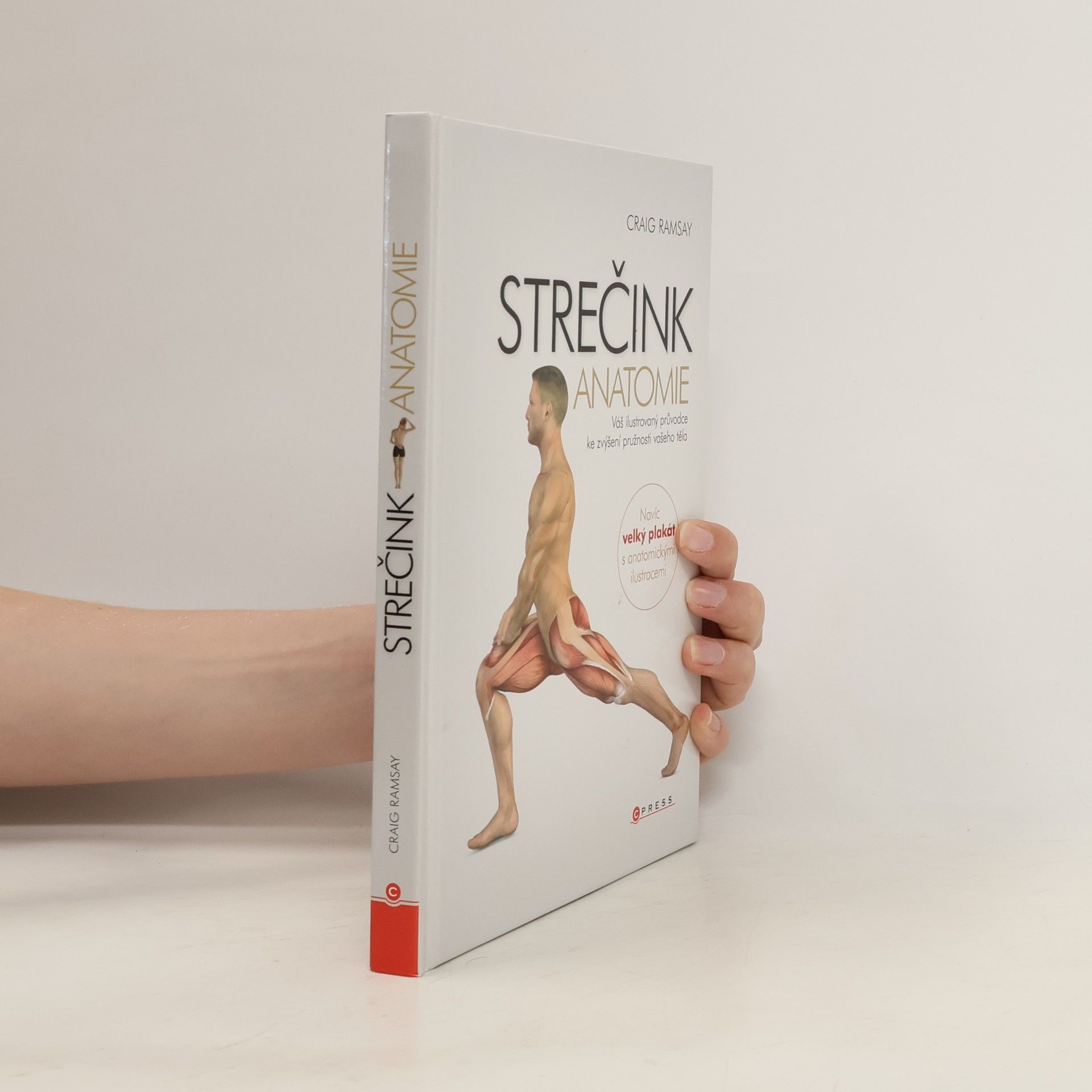 Craig Ramsay Strečink - anatomie