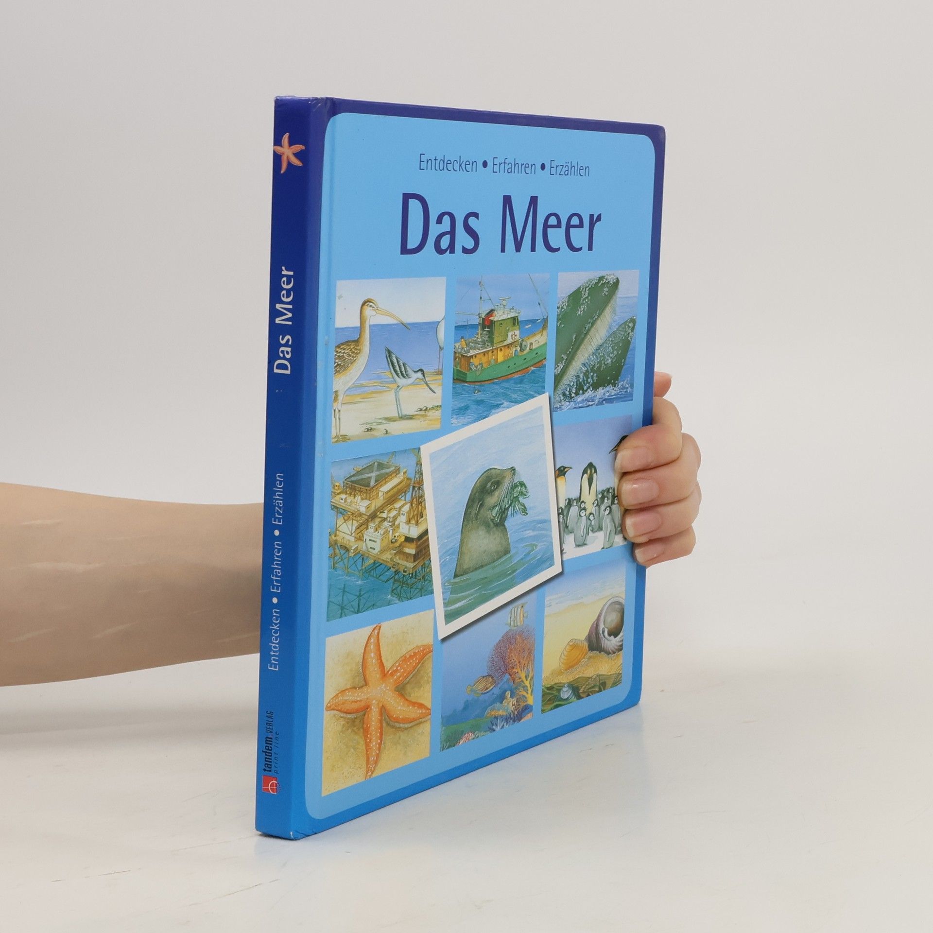 Autorenkollektiv Das Meer