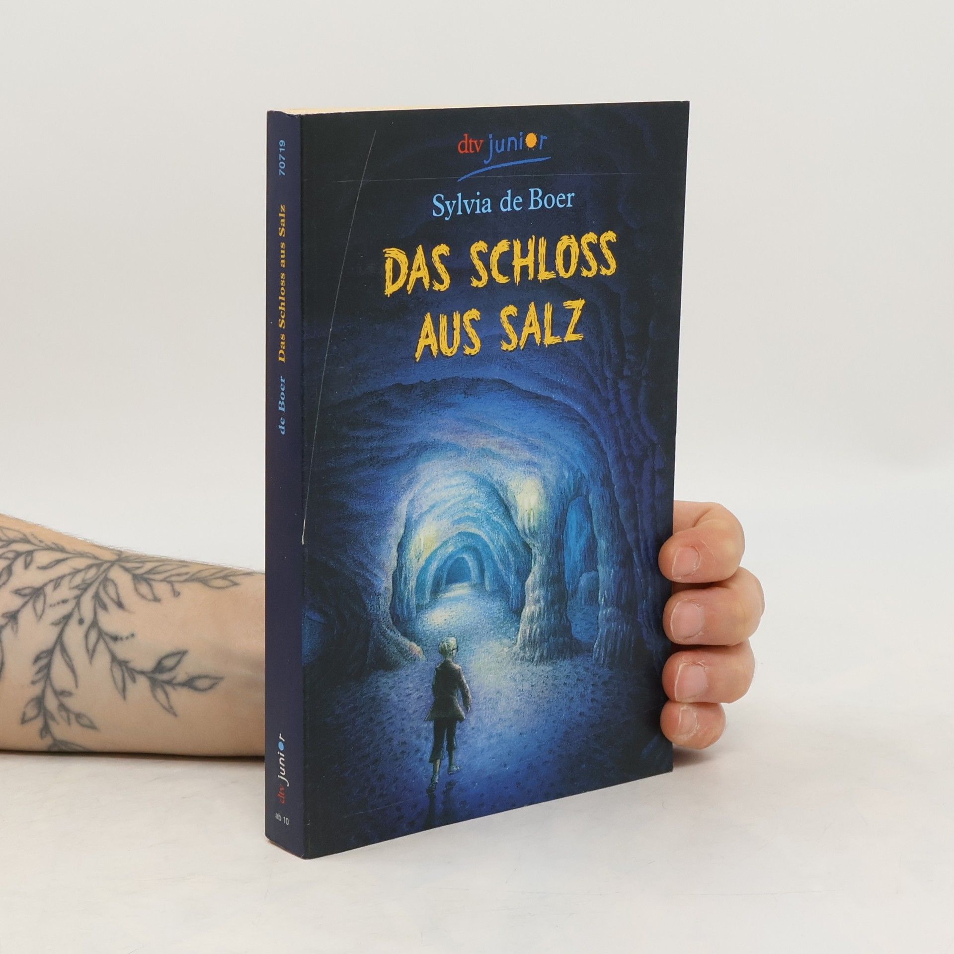 Sylvia de Boer Das Schloss aus Salz