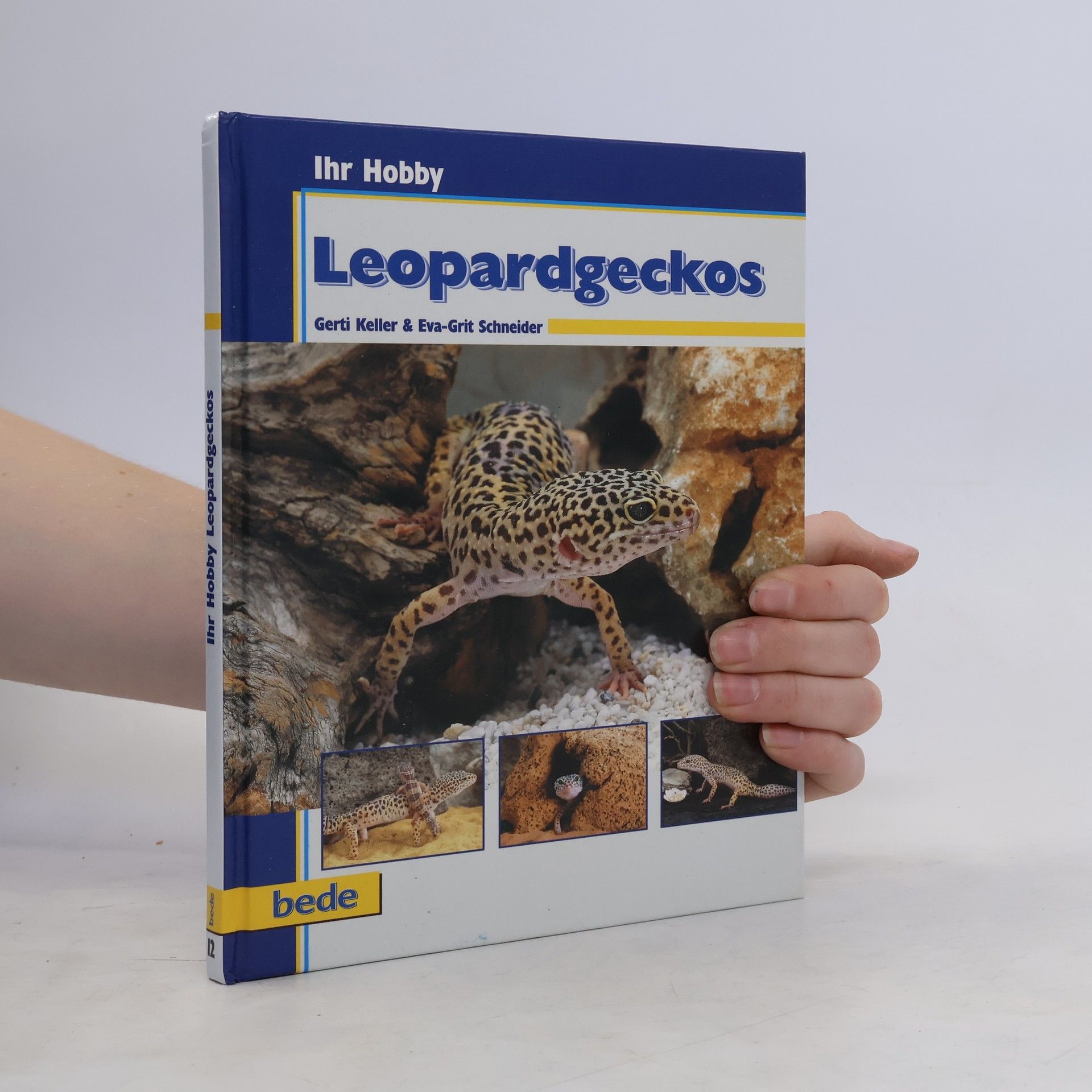 Gerti Keller Leopardgeckos