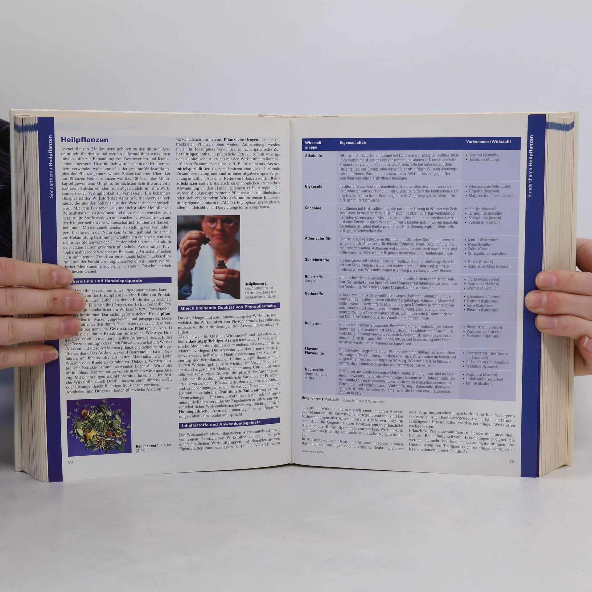 Stefan Dierkes Der Gesundheits-Brockhaus