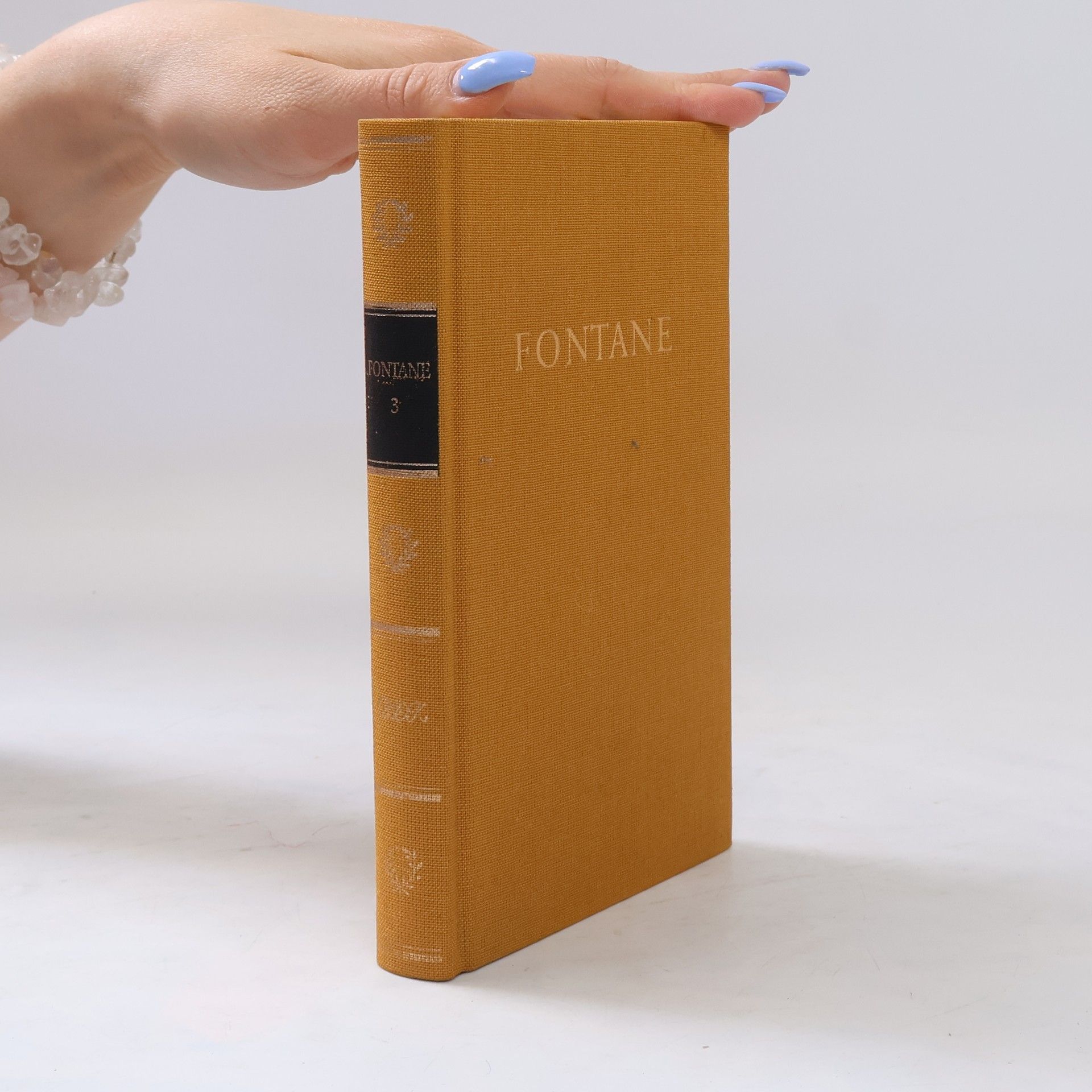 Theodor Fontane Fontanes Werke in fünf Bänden