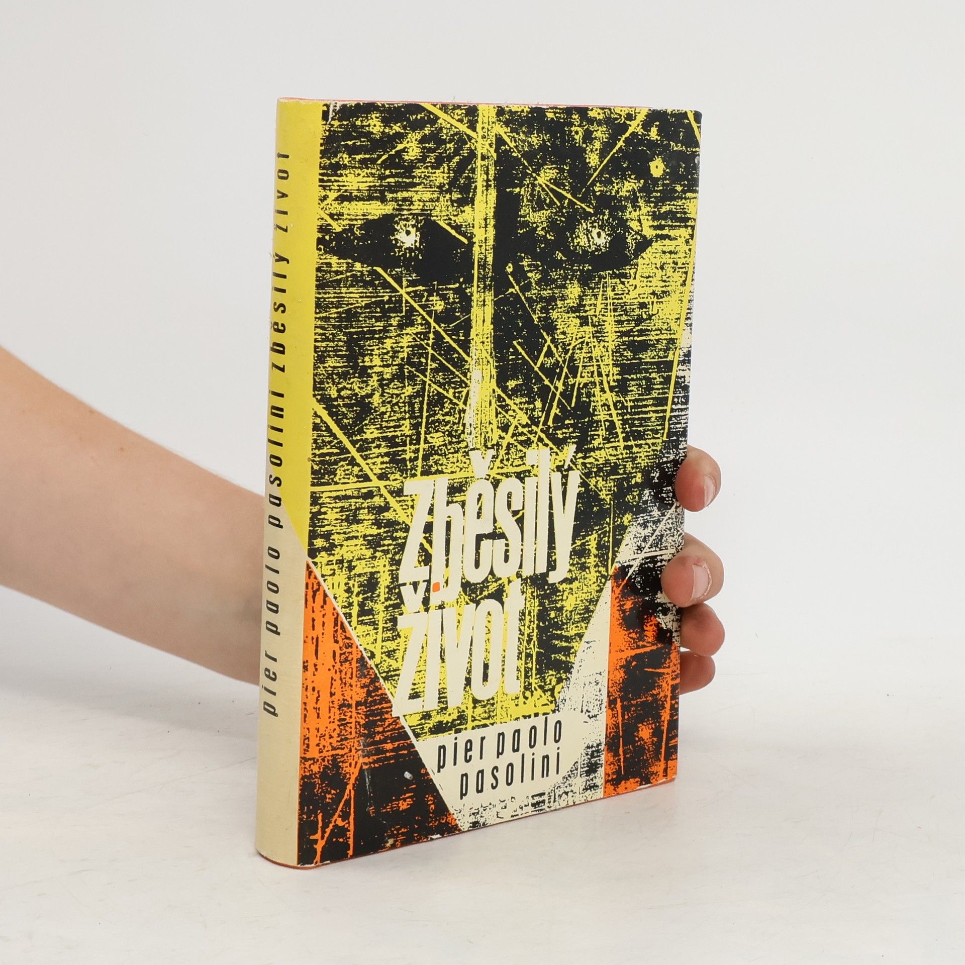 Pier Paolo Pasolini Zběsilý život
