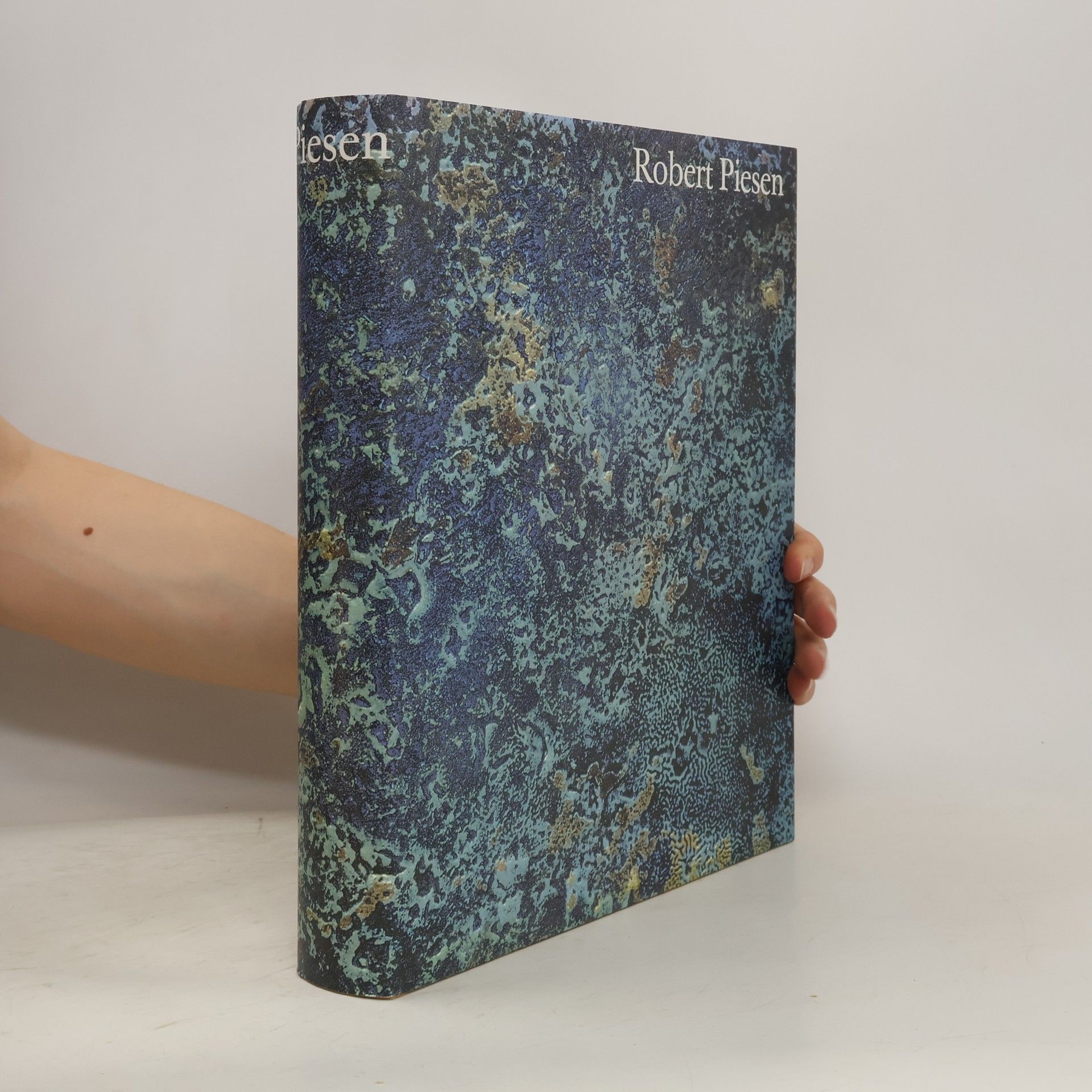 Collectif d'auteurs Robert Piesen
