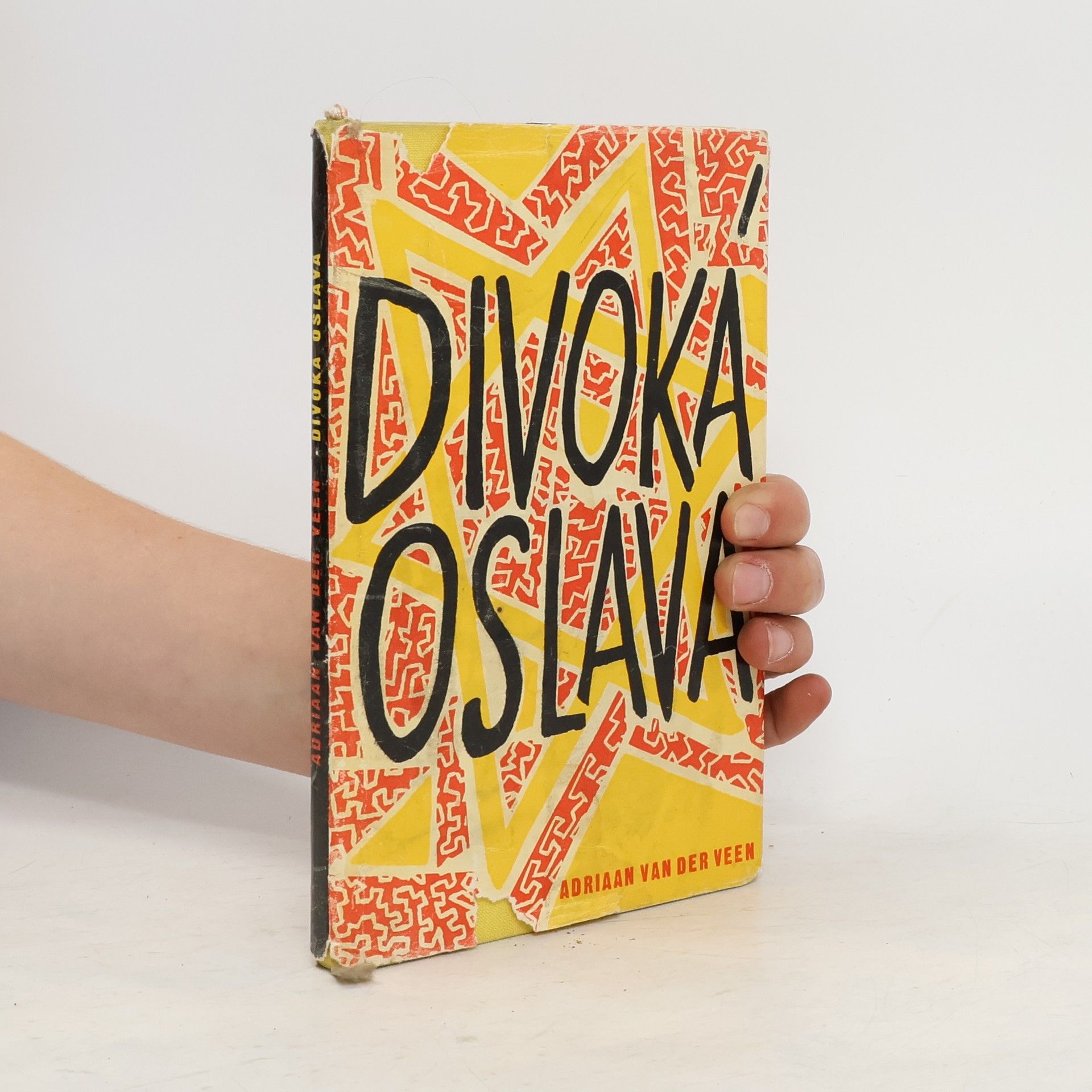 Adriaan van der Veen Divoká oslava