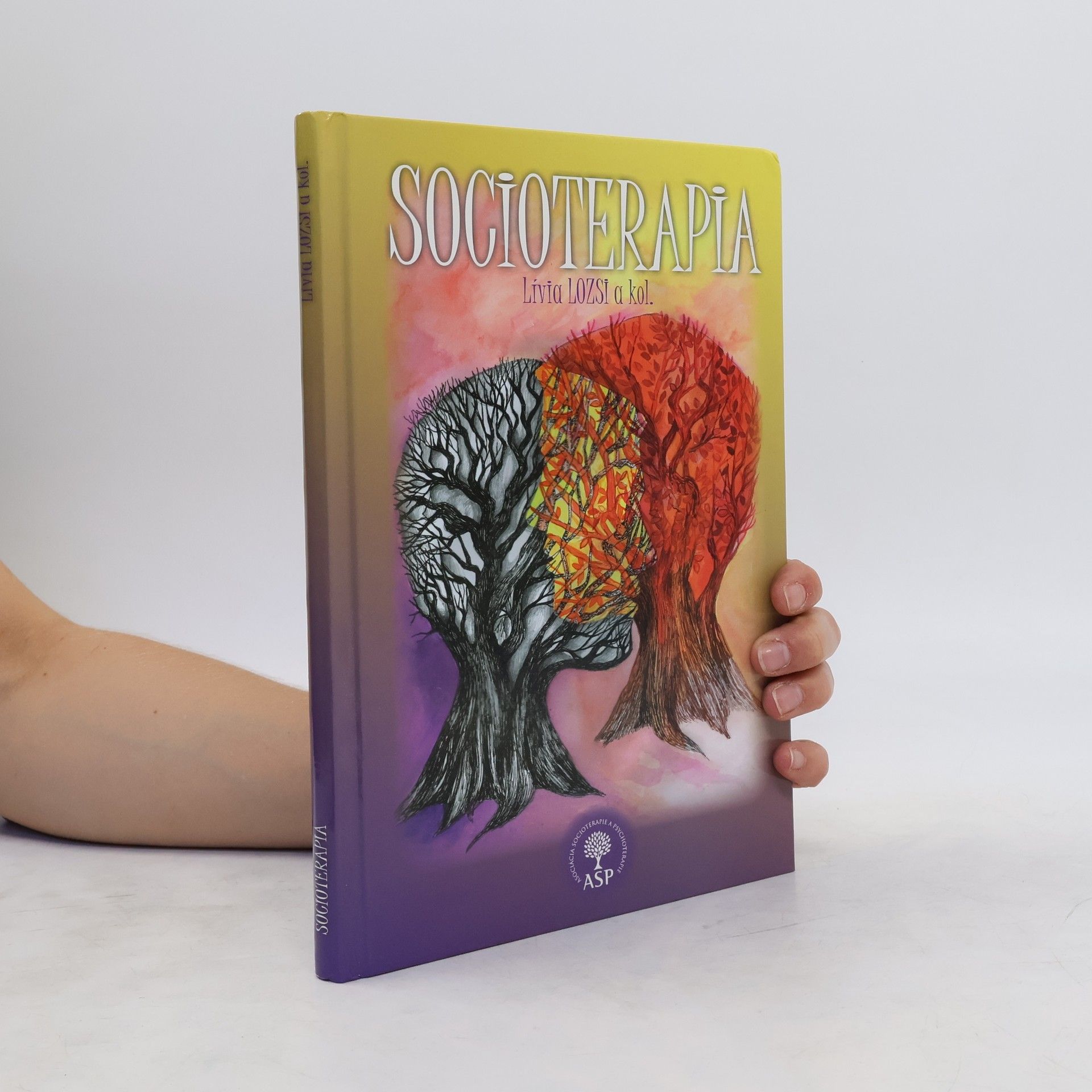 Lívia Lozsi Socioterapia