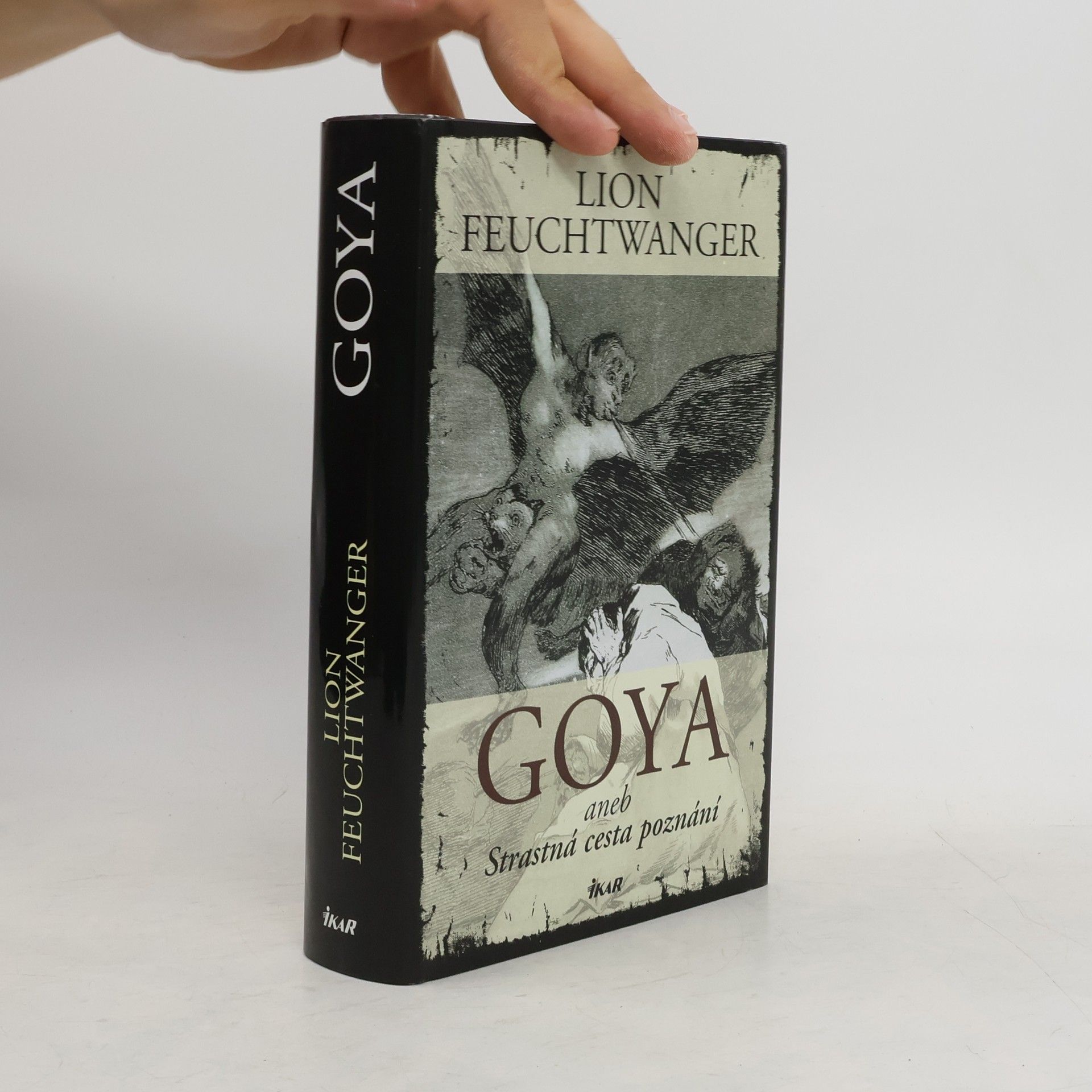 Lion Feuchtwanger Goya. Strastná cesta poznání