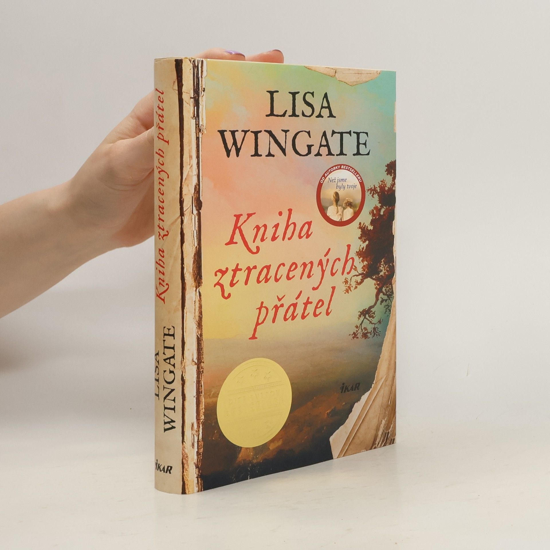 Lisa Wingate Kniha ztracených přátel