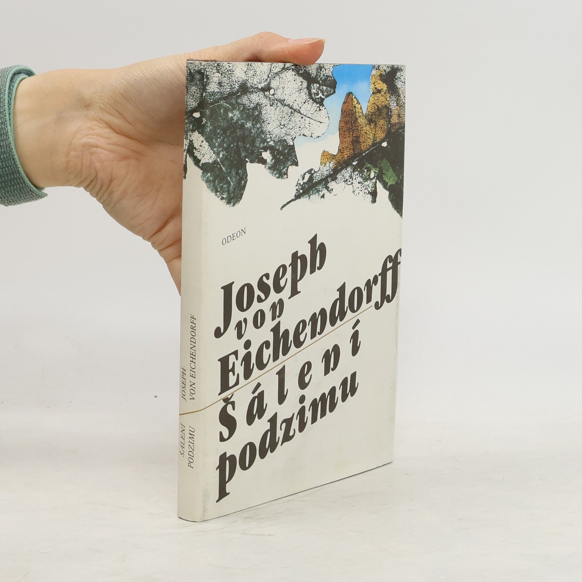 Joseph von Eichendorff Šálení podzimu : výbor z prozaického a lyrického díla