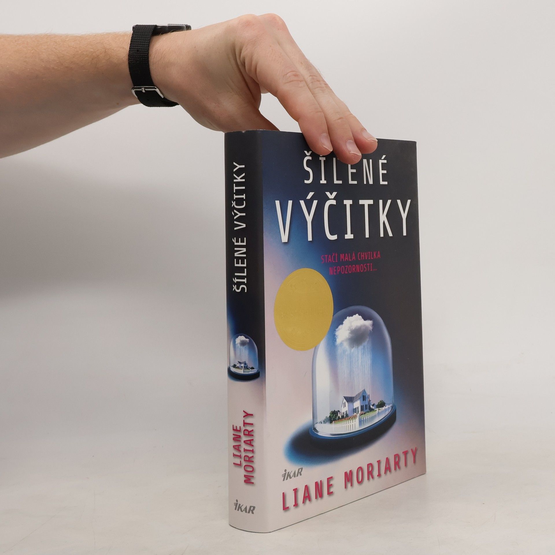 Liane Moriarty Šílené výčitky