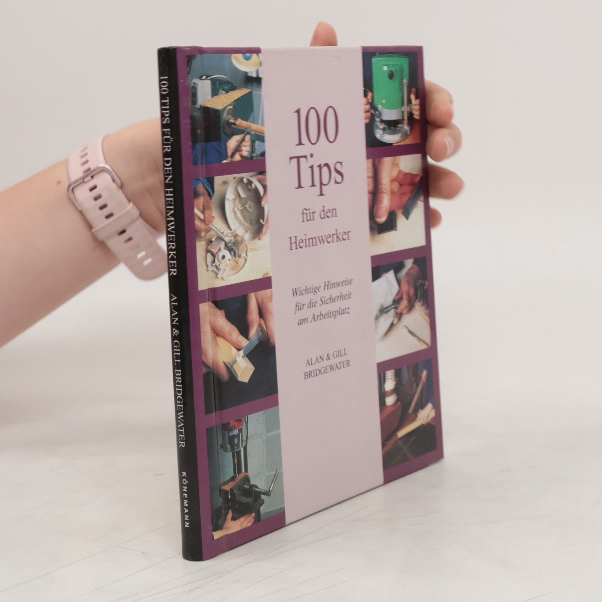 Alan Bridgewater 100 Tips für den Heimwerker