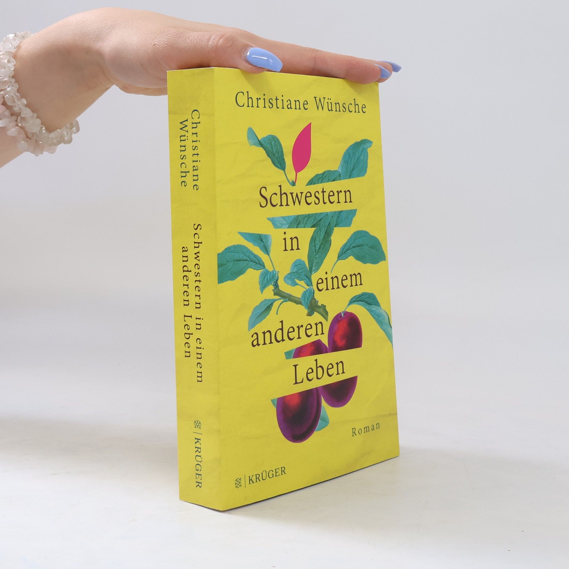 Christiane Wünsche Schwestern in einem anderen Leben