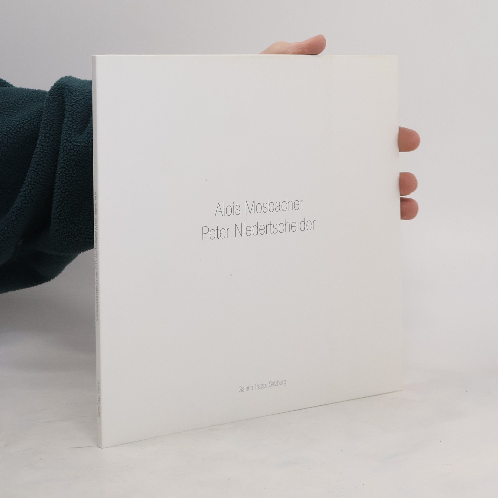 Alois Mosbacher Festspielausstellungen Sommer 2015