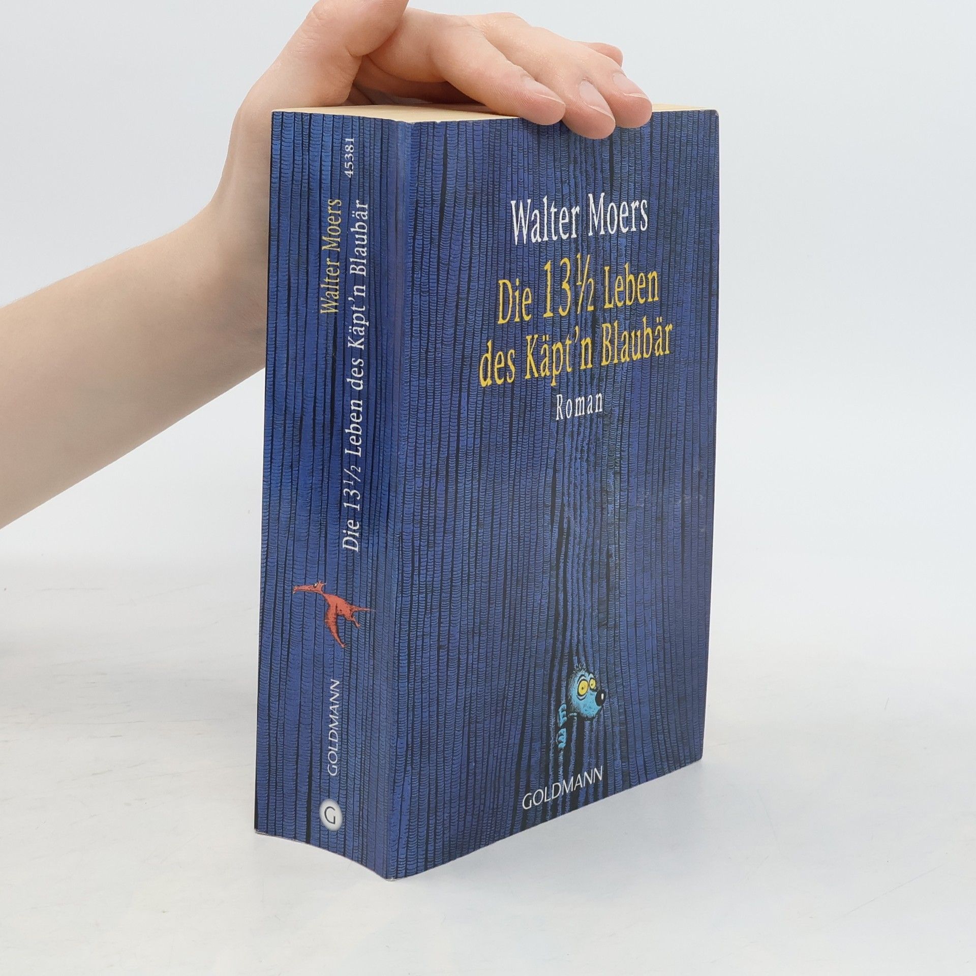 Walter Moers Die 13 1/2 Leben des Käpt'n Blaubär