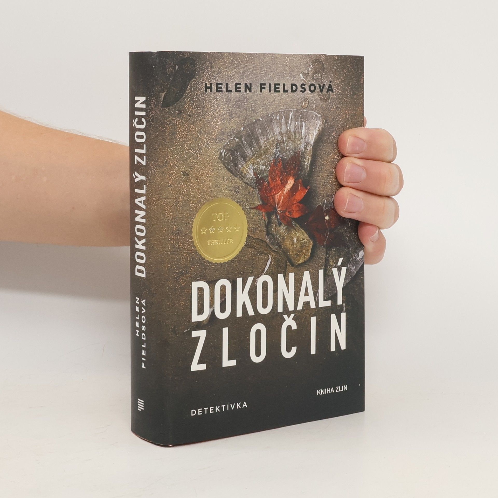 Helen Fields Dokonalý zločin