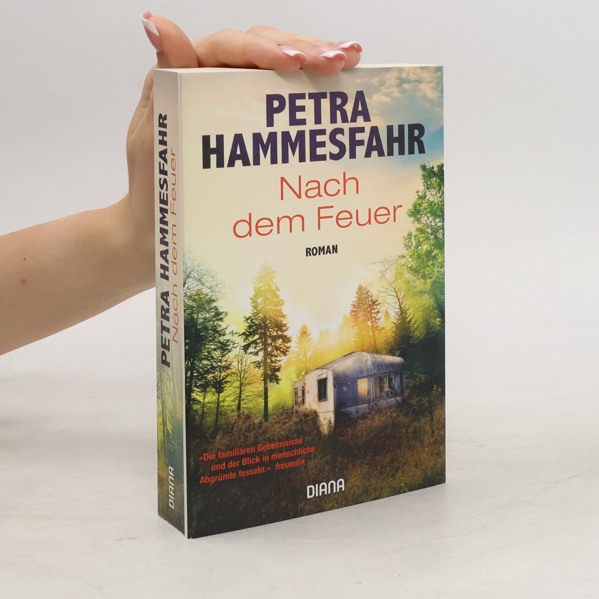 Petra Hammesfahr Nach dem Feuer