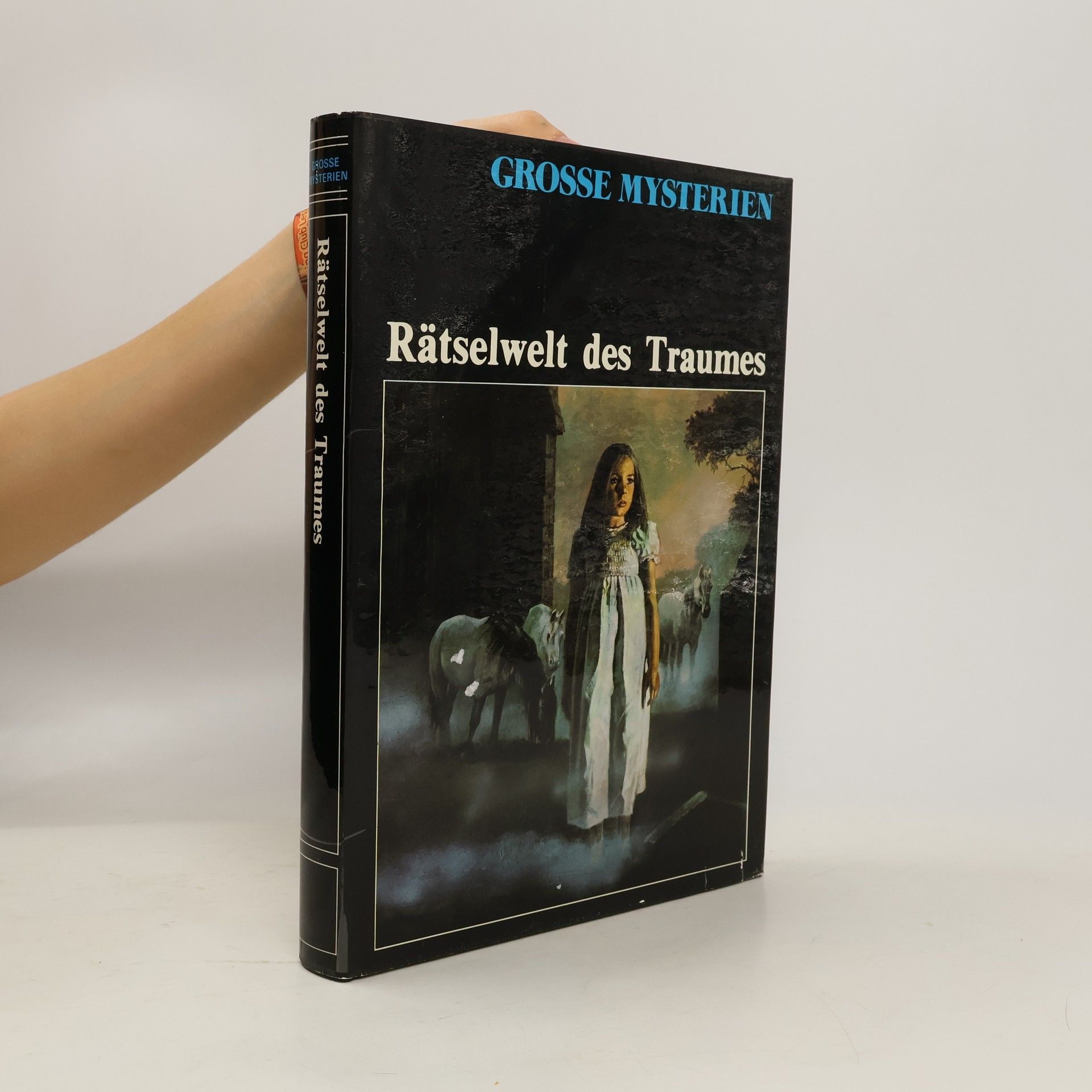 Autorenkollektiv Grosse Mysterien. Rätselwelt des Traumes