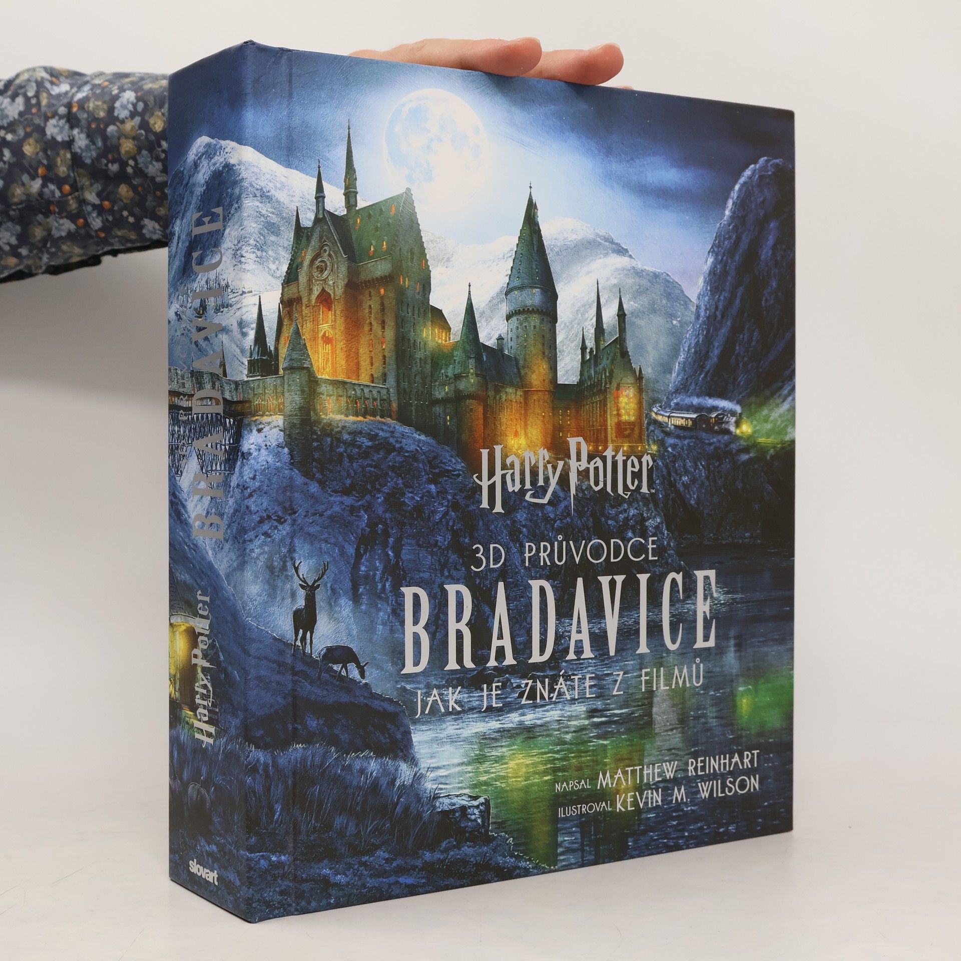 Matthew Reinhart Harry Potter – 3D průvodce: Bradavice, jak je znáte z filmů