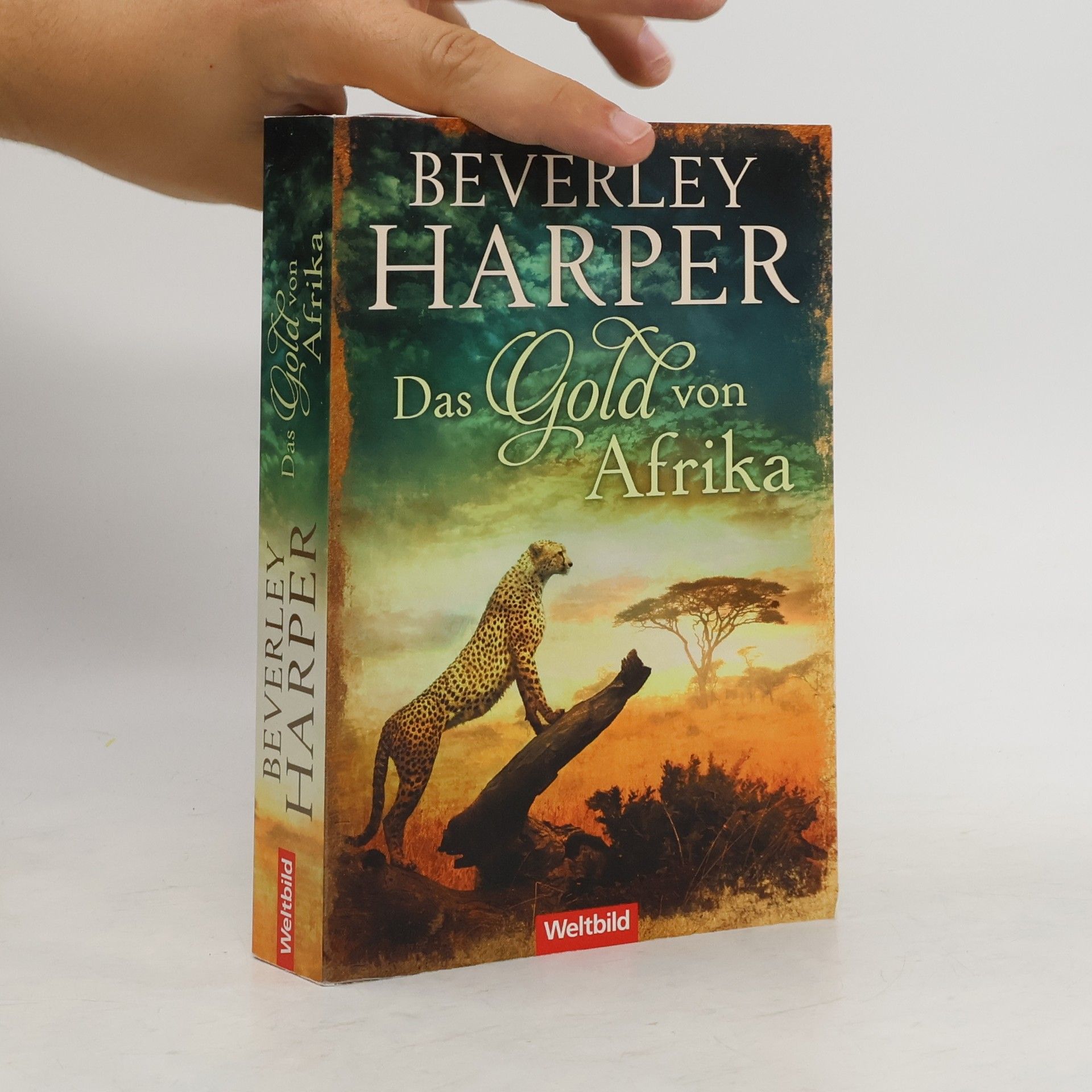 Beverley Harper Das Gold von Afrika