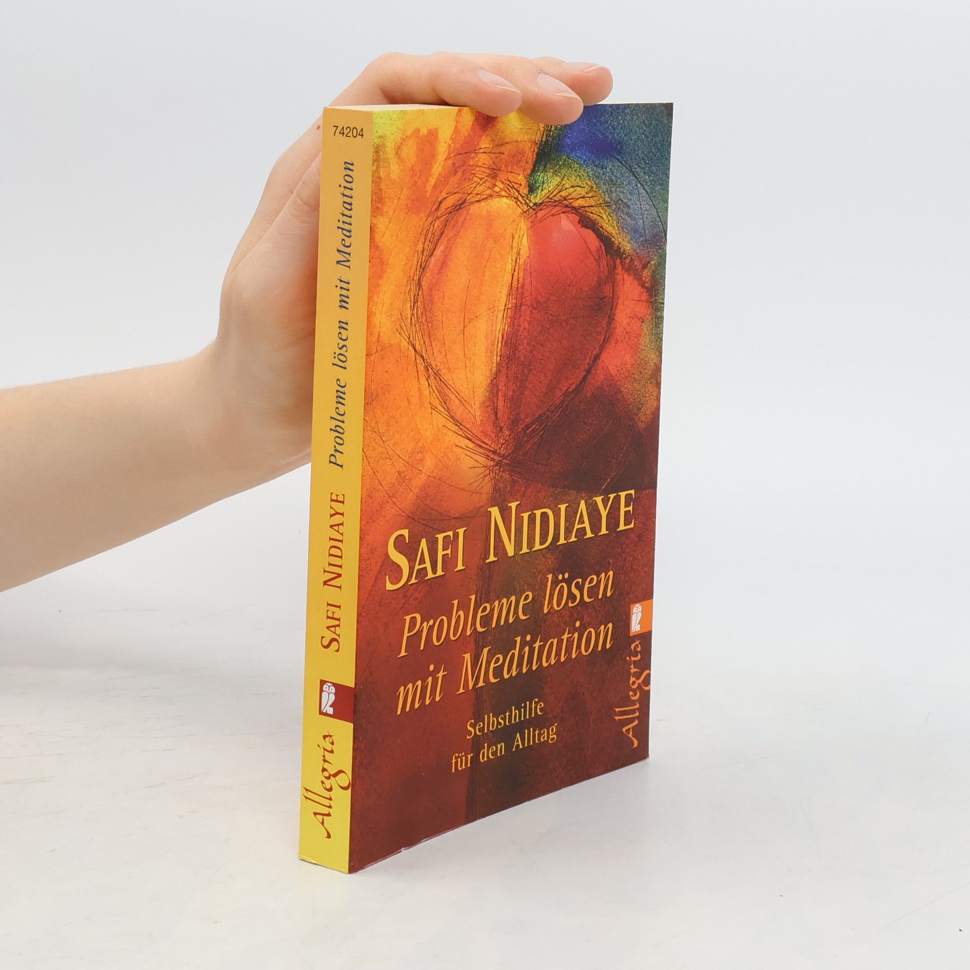 Safi Nidiaye Probleme lösen mit Meditation