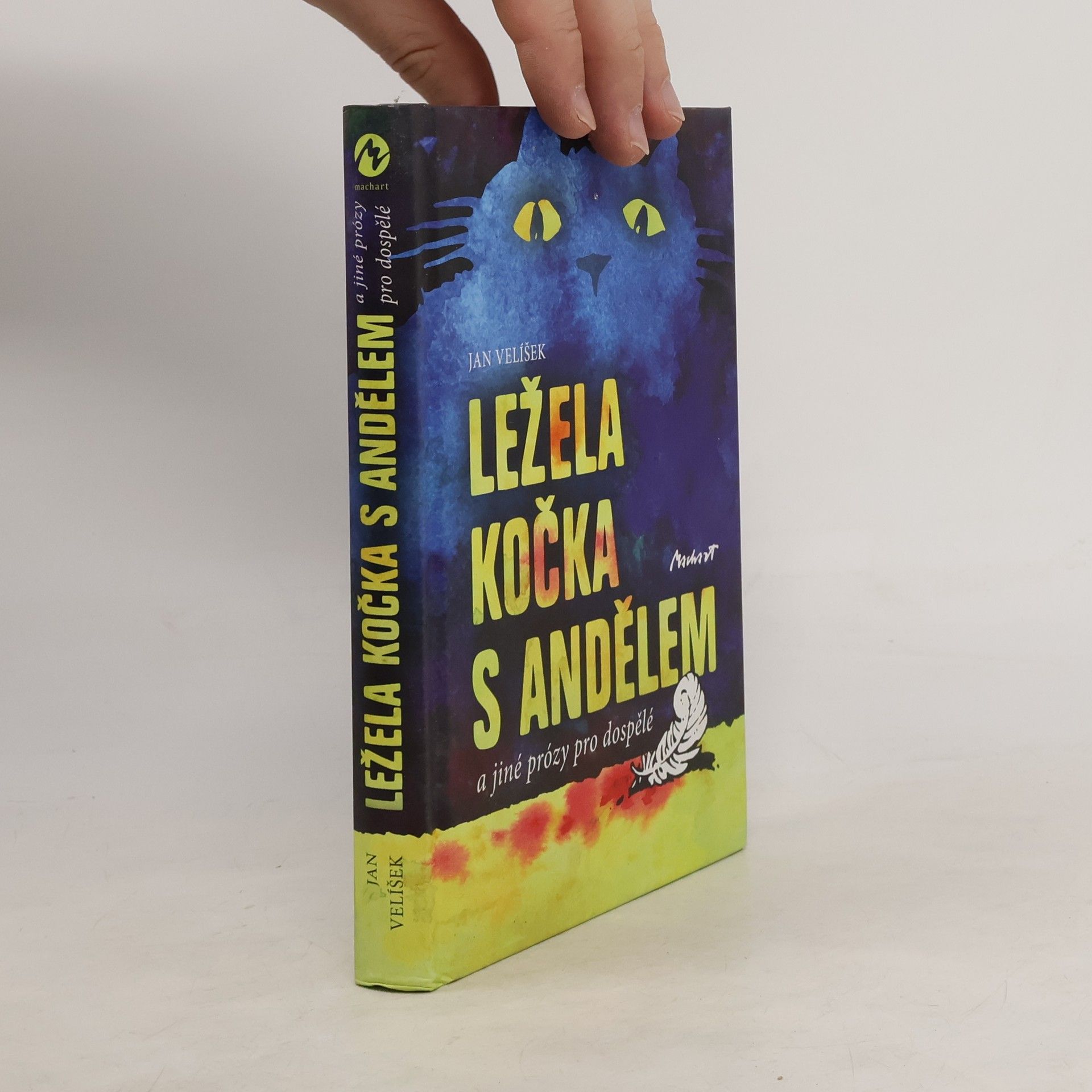 Jan Velíšek Ležela kočka s andělem a jiné prózy pro dospělé
