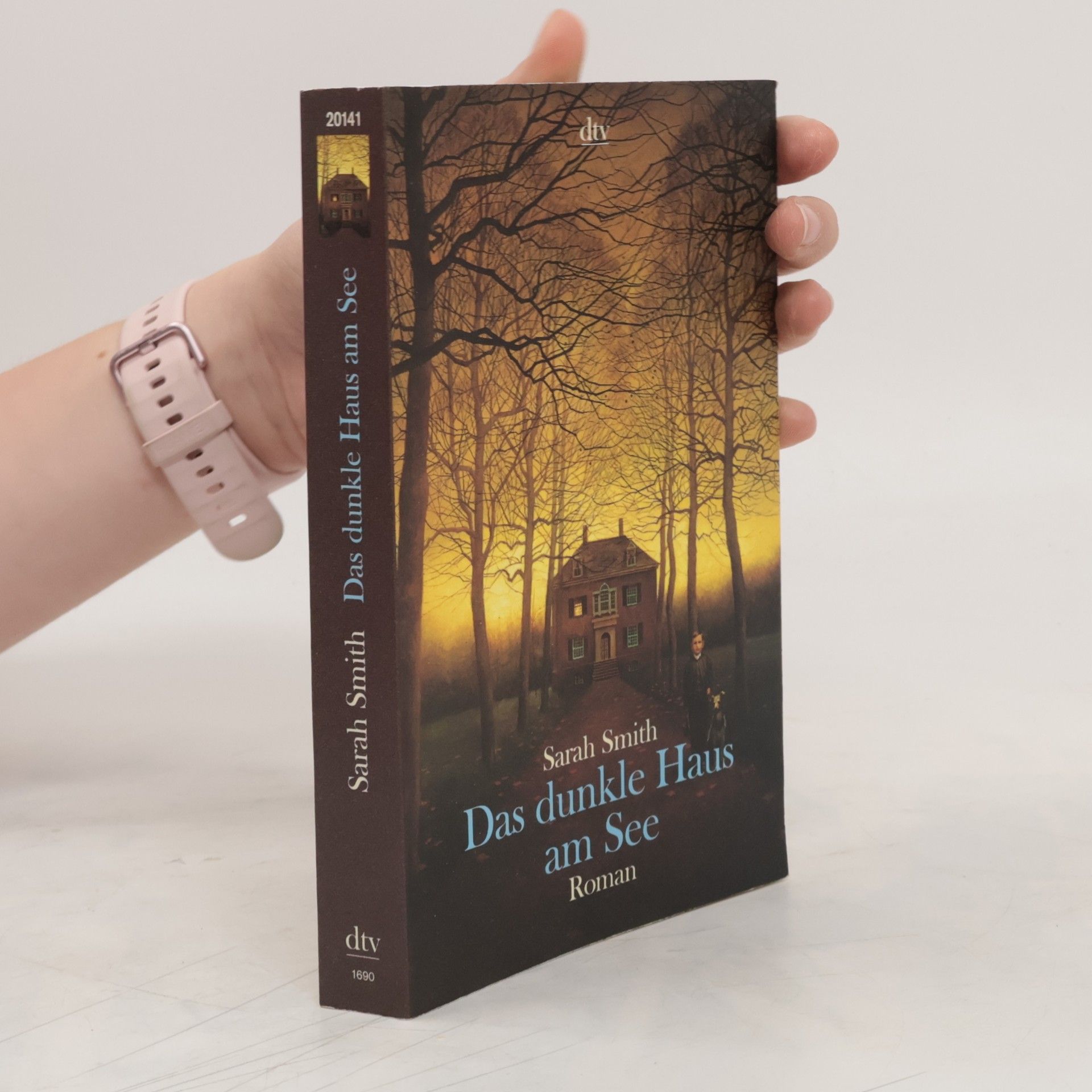 Sarah Smith Das dunkle Haus am See