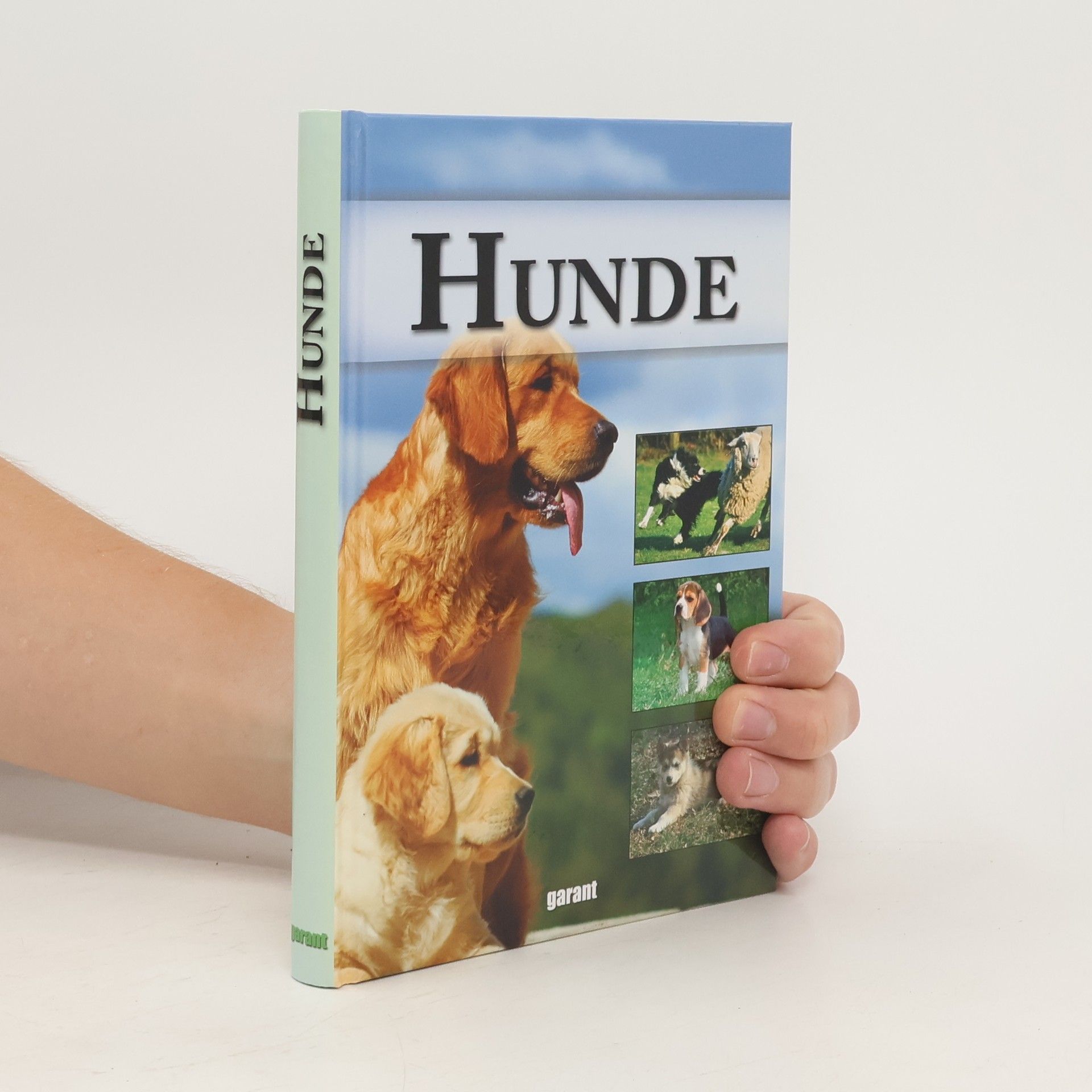 kolektiv Hunde