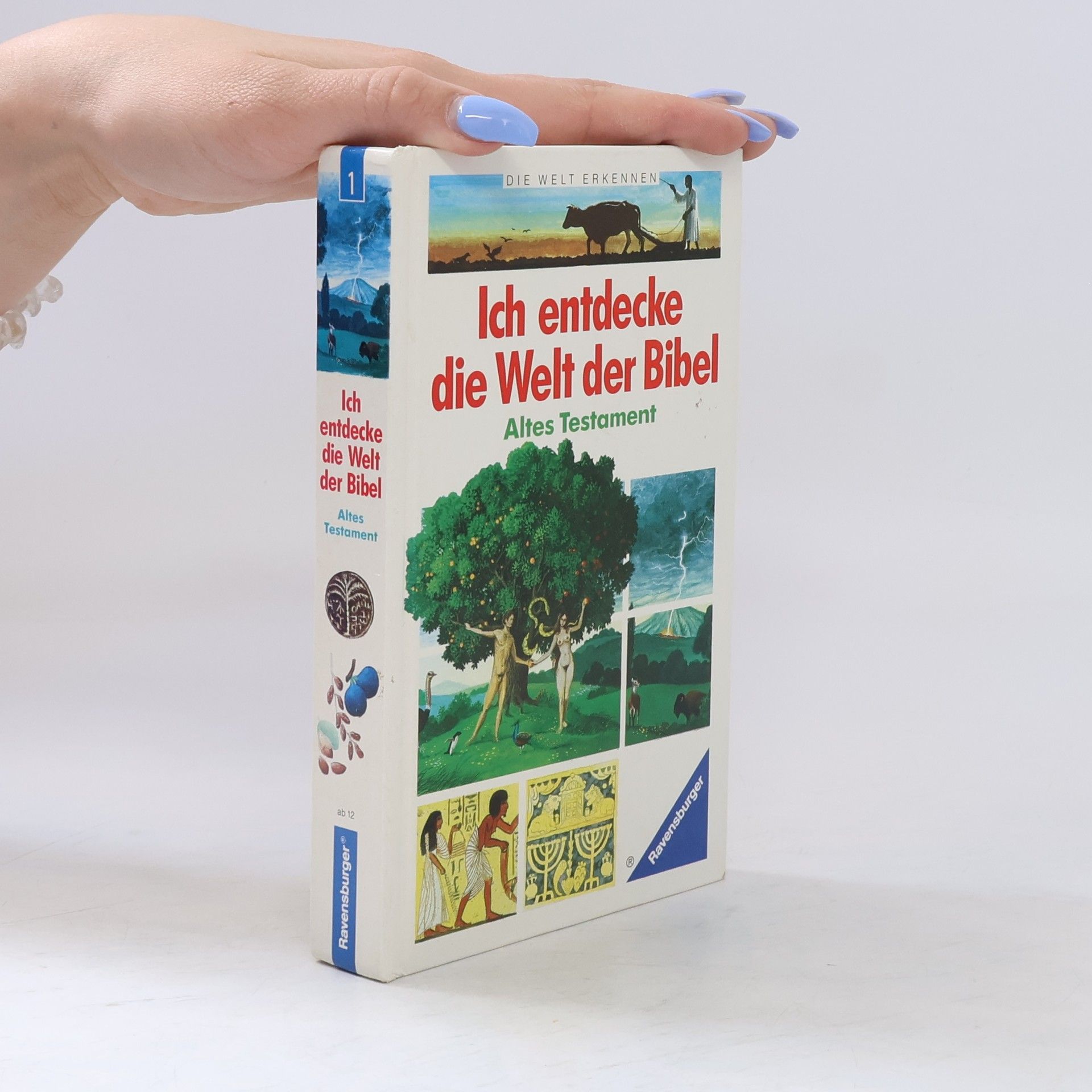 Collective Ich entdecke die Welt der Bibel
