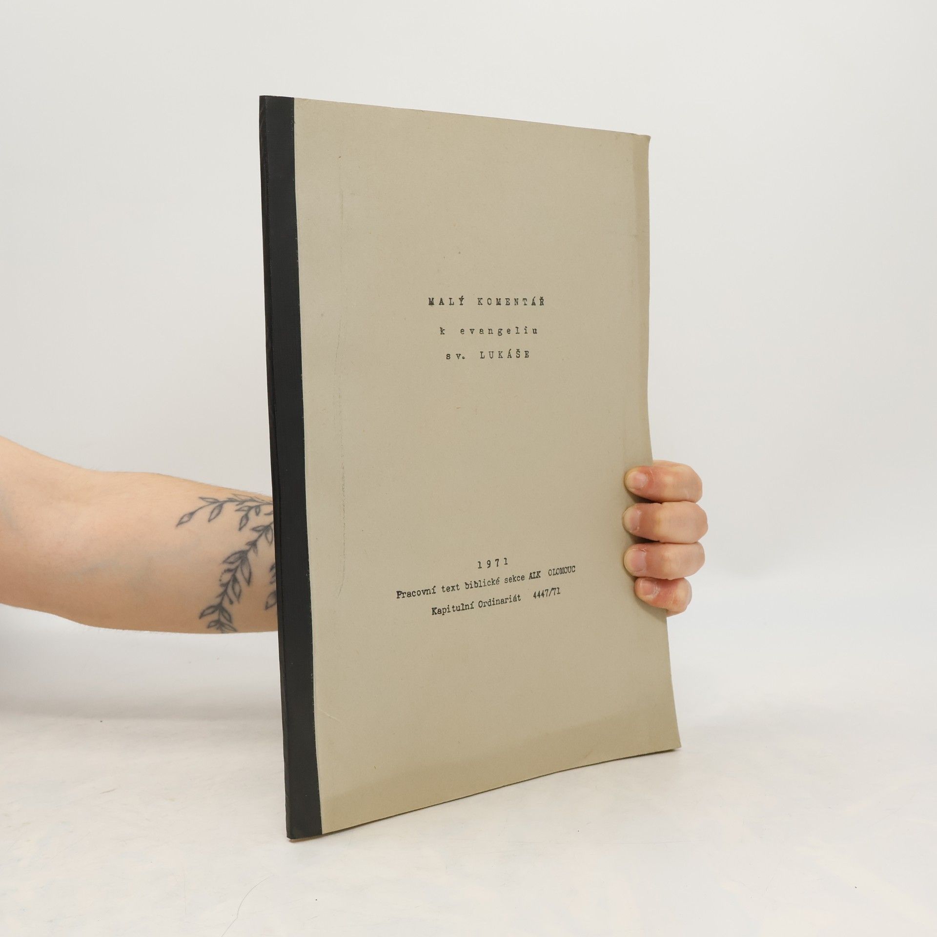 Collectif d'auteurs Malý komentář k evangeliu sv. Lukáše