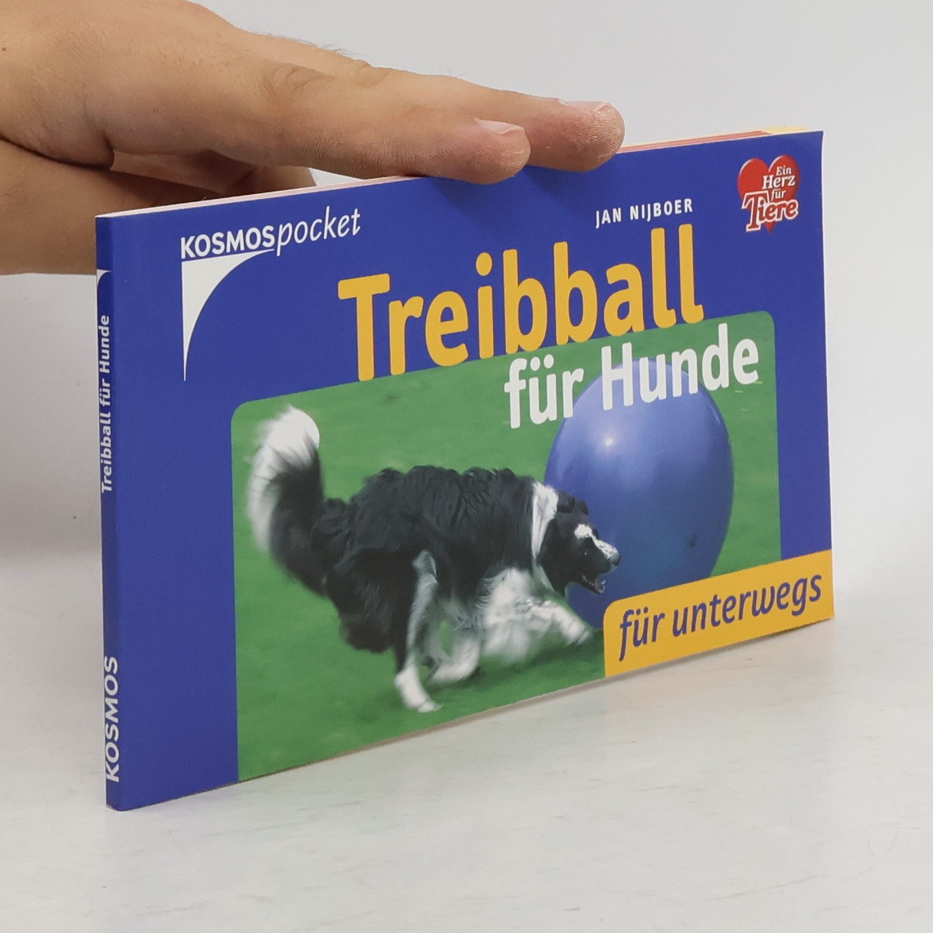 Jan Nijboer Treibball für Hunde
