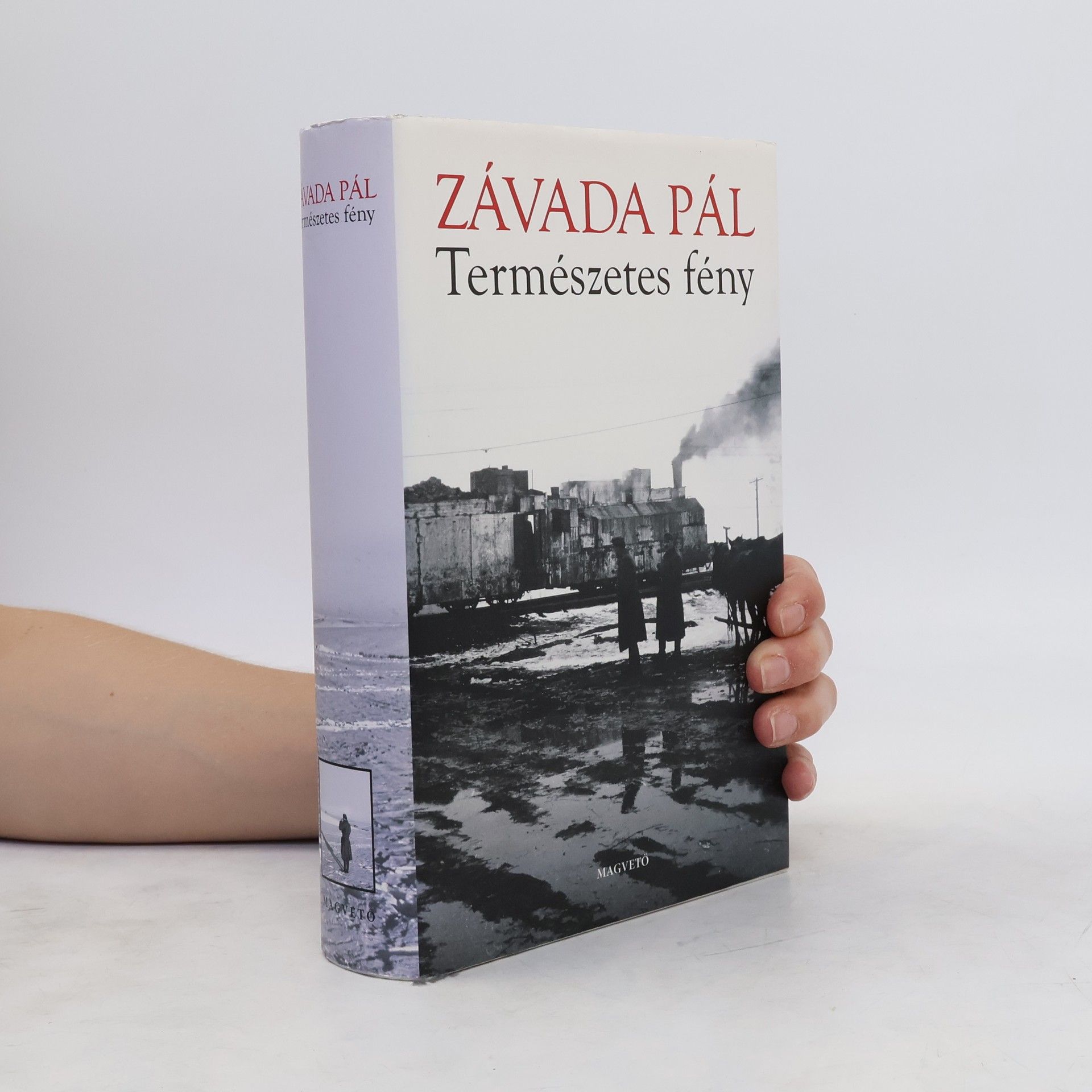 Pál Závada Természetes fény