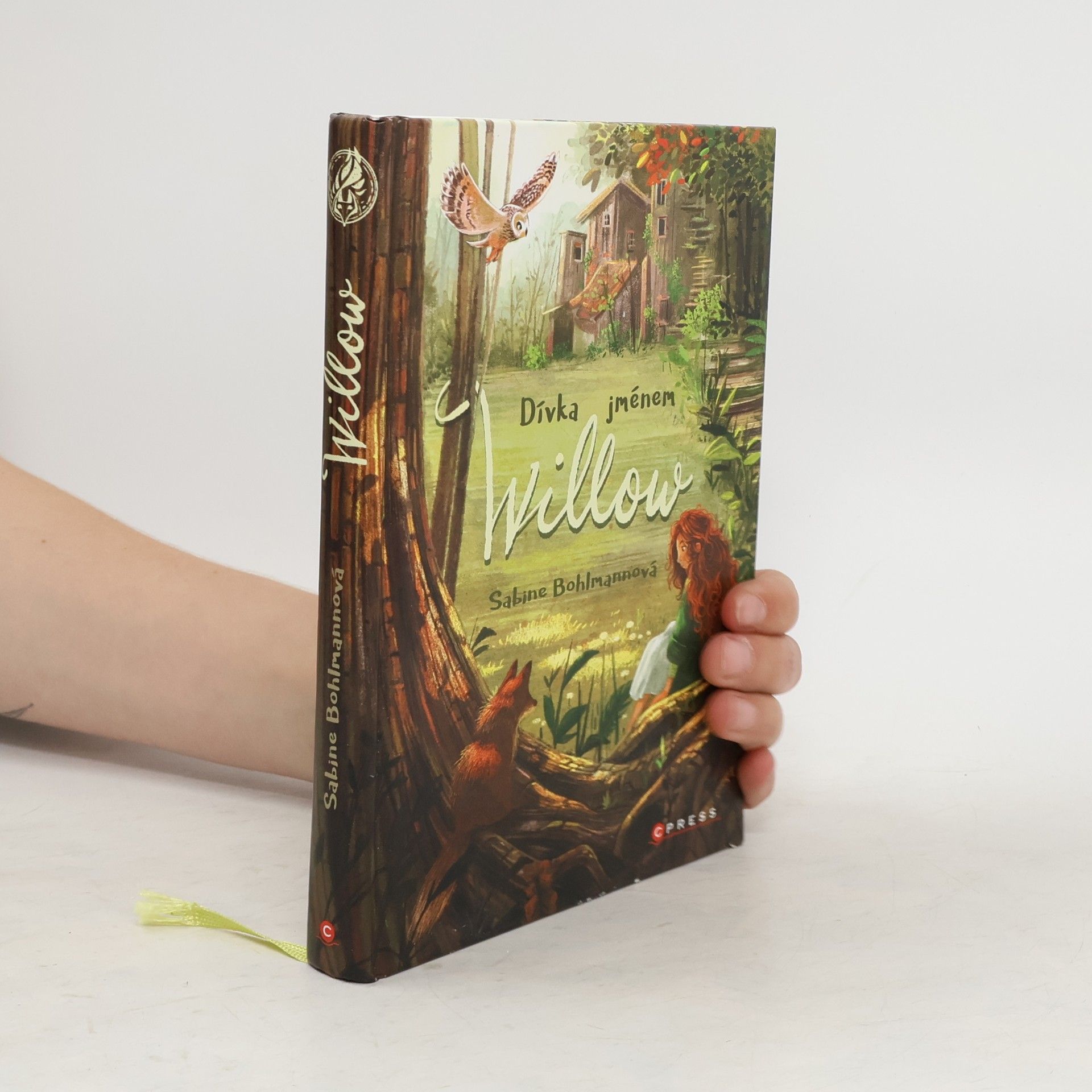 Sabine Bohlmann Dívka jménem Willow
