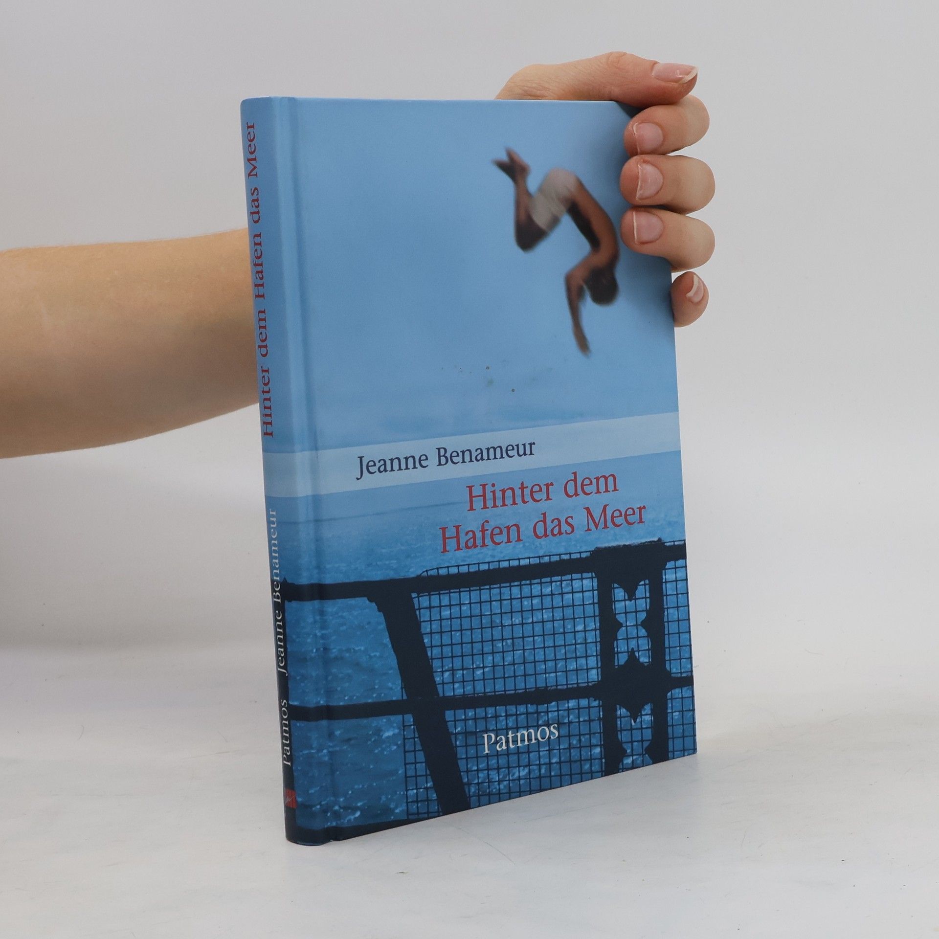 Jeanne Benameur Hinter dem Hafen das Meer