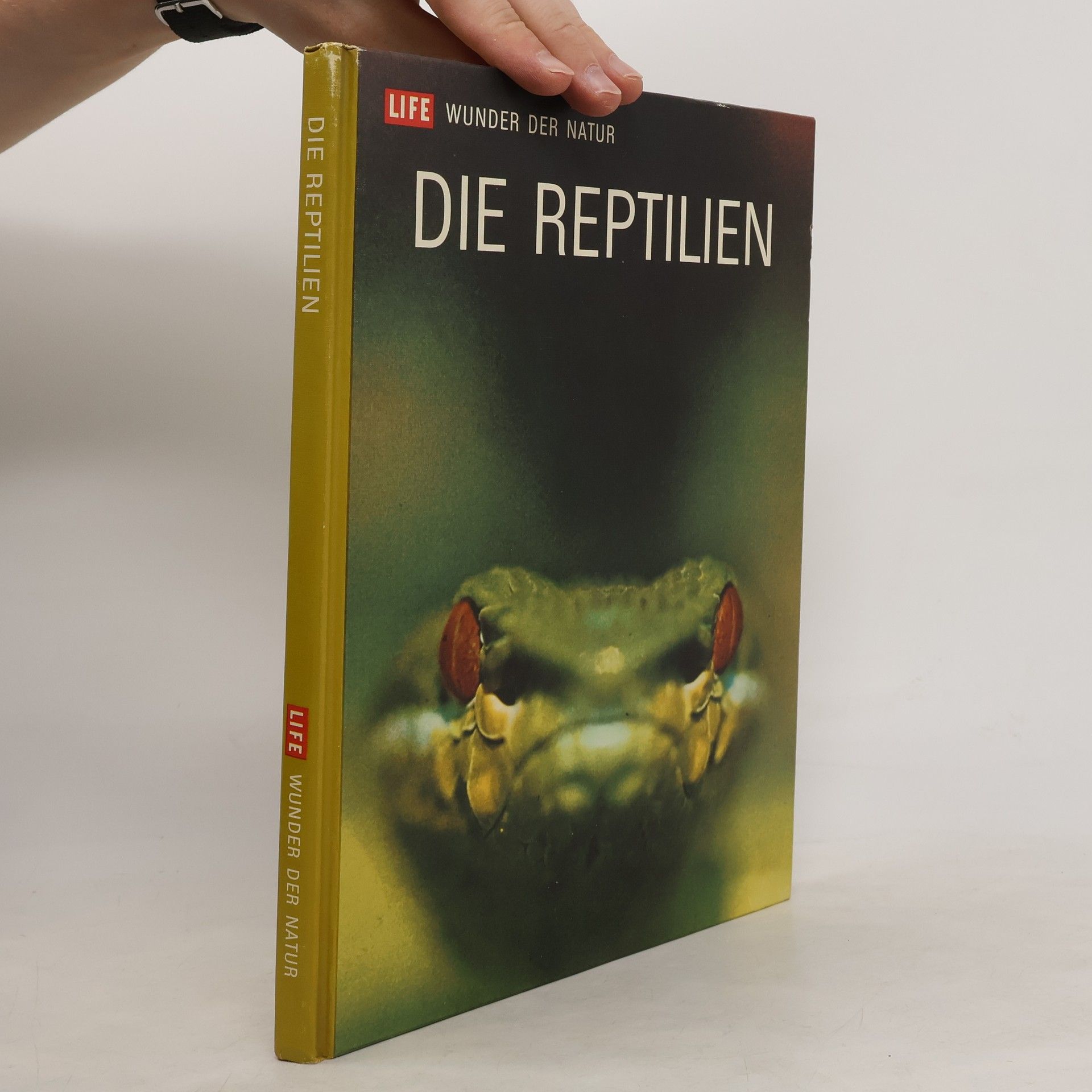 kolektiv Die Reptilien