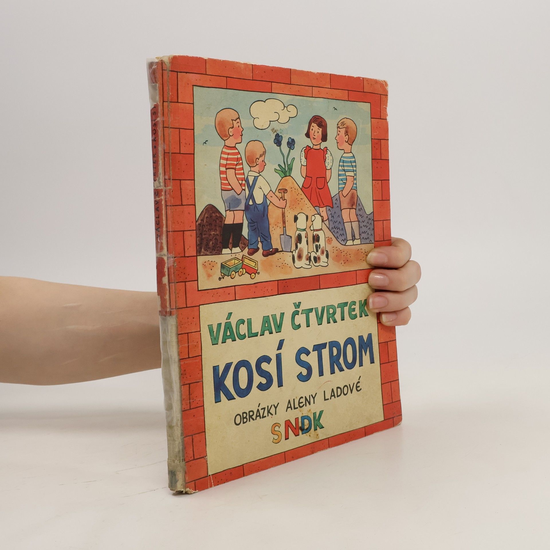 Václav Čtvrtek Kosí strom