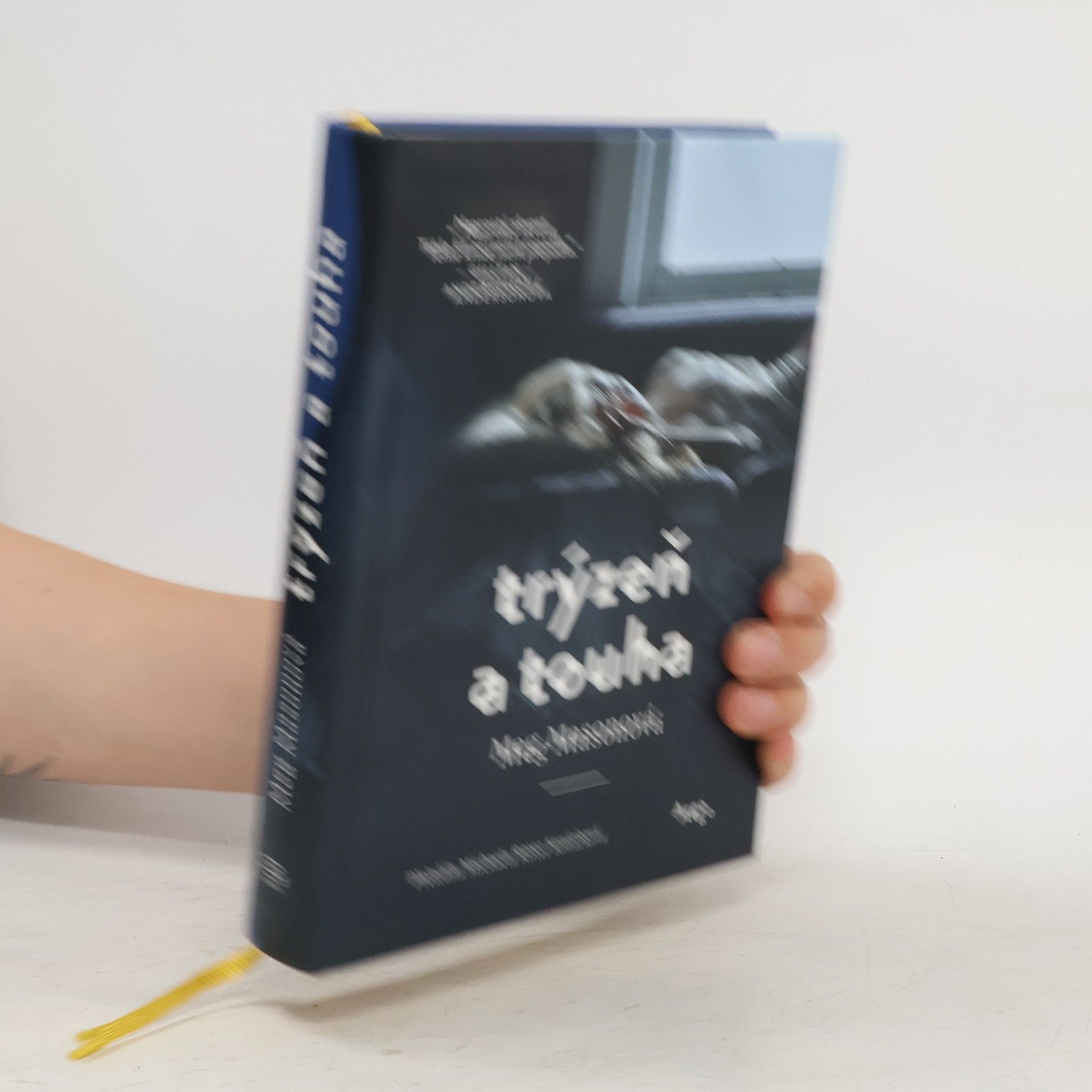 Meg Mason Trýzeň a touha