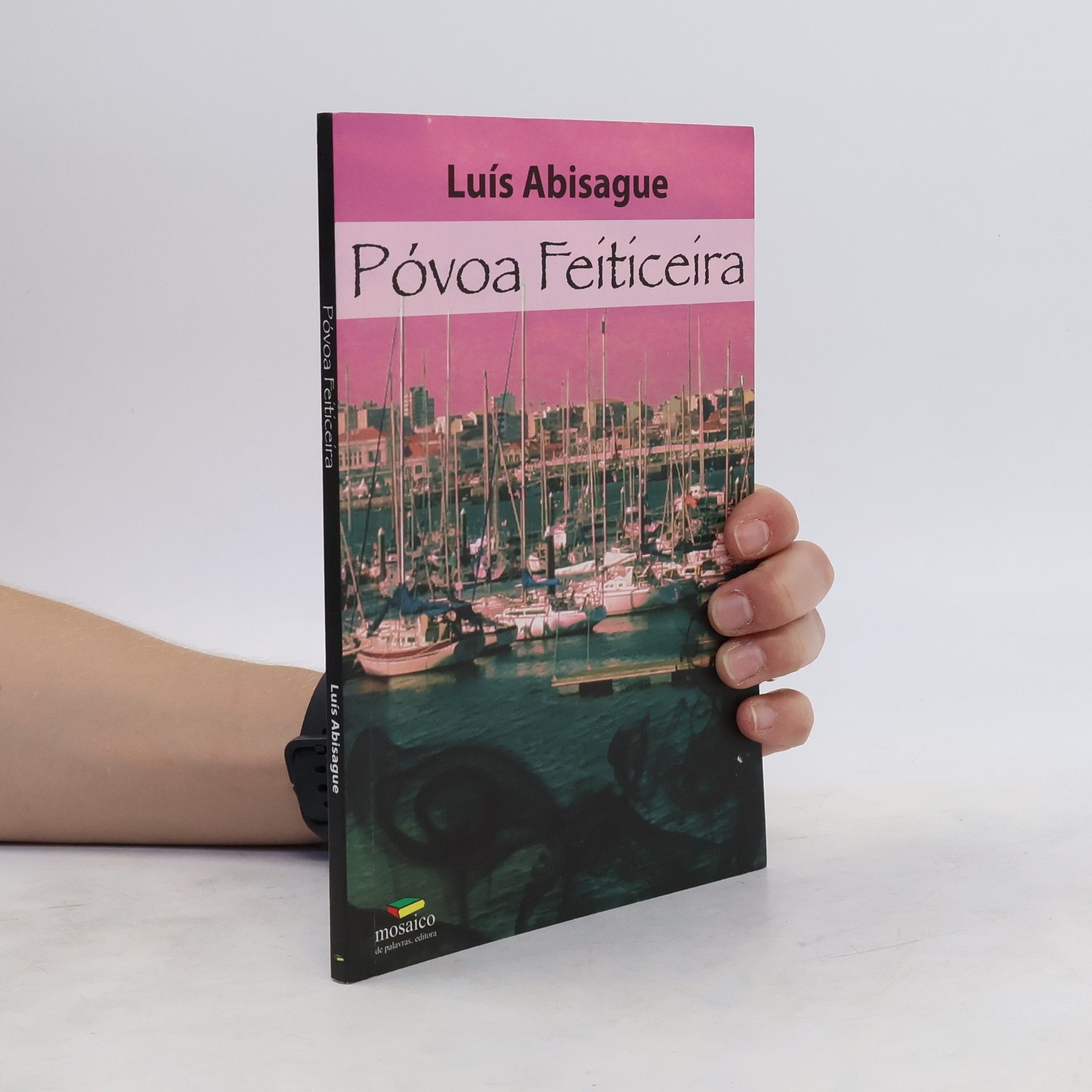 Luís Abisague Póvoa Feiticeira